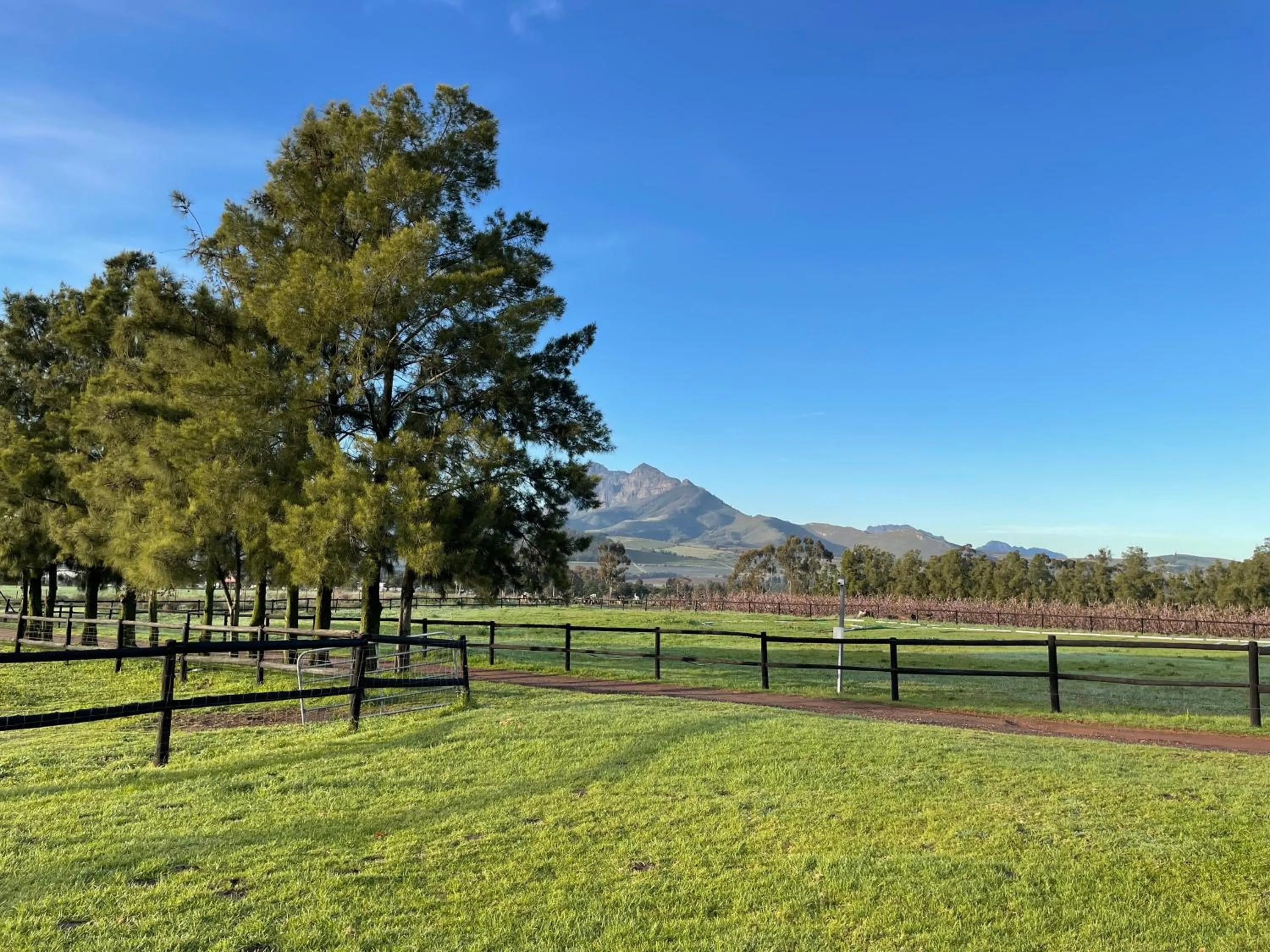Bona Vista Self-Catering Accommodation