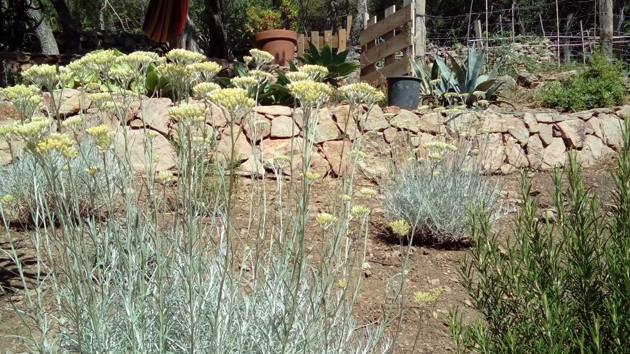 Day in Maison Tavolara