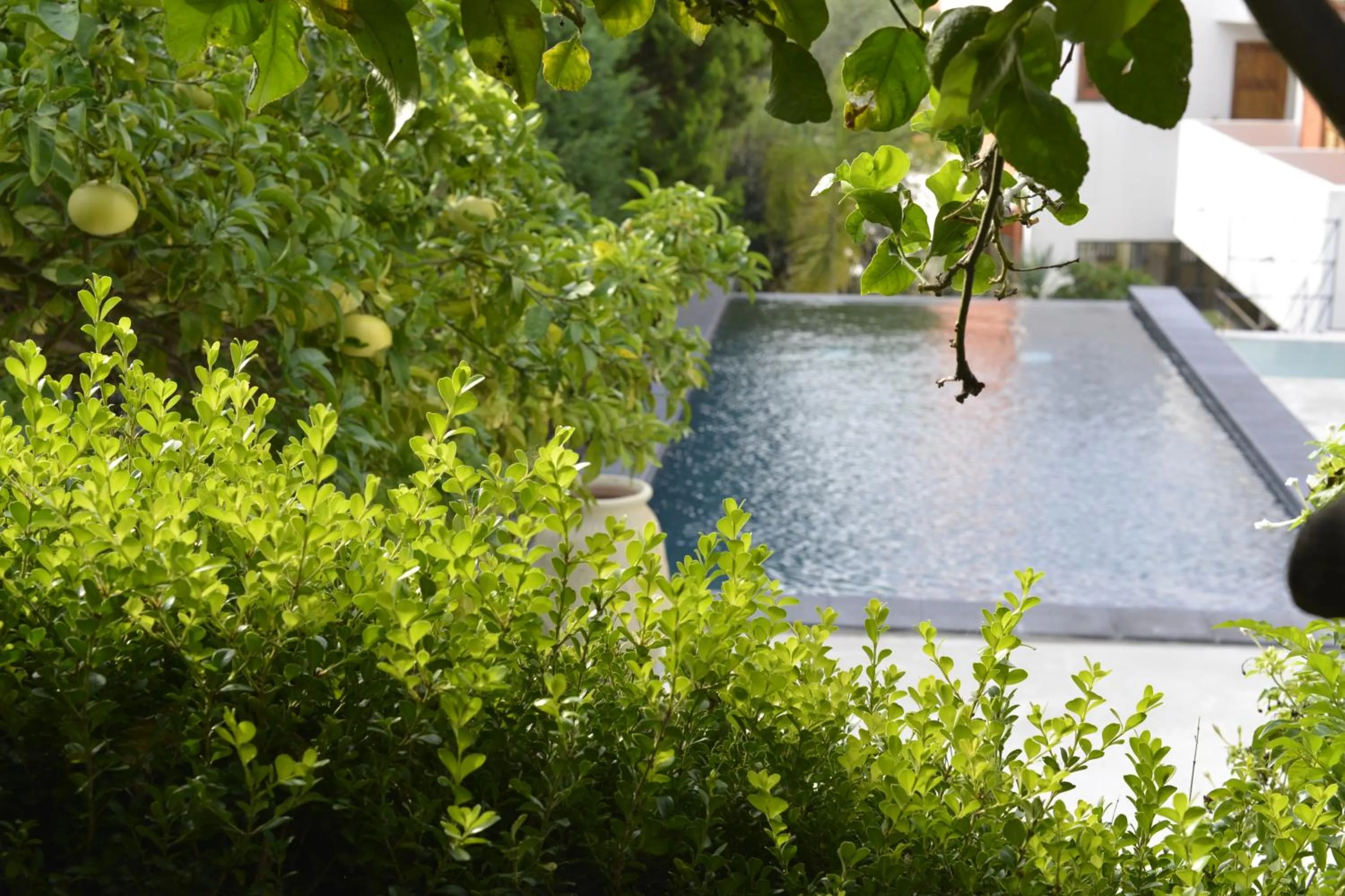 Swimming pool in Residence Hotel Baia Portinenti