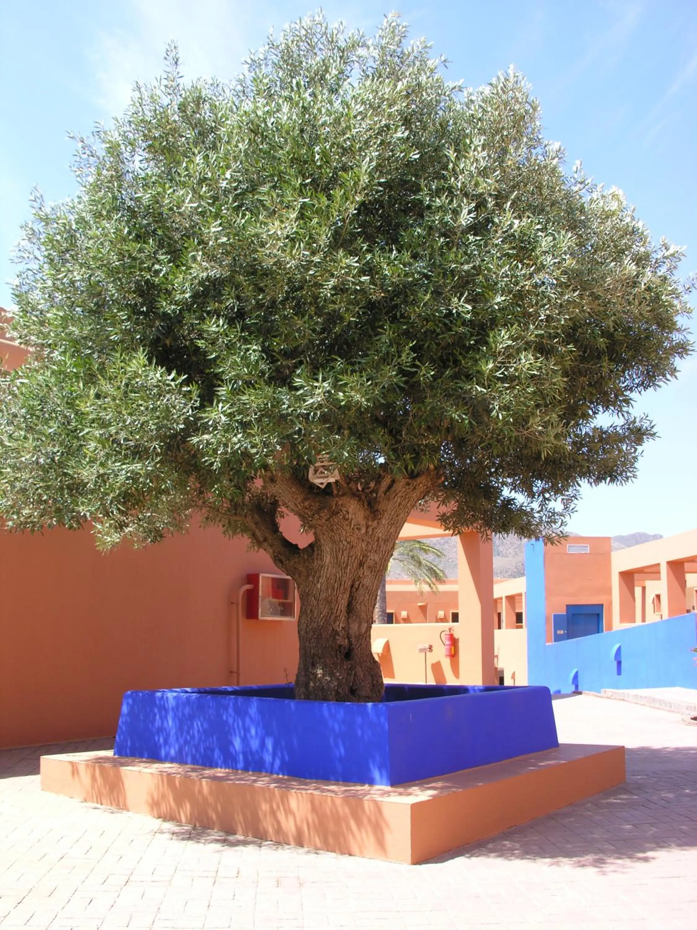 Lobby or reception in Hotel de Naturaleza Rodalquilar & Spa Cabo de Gata