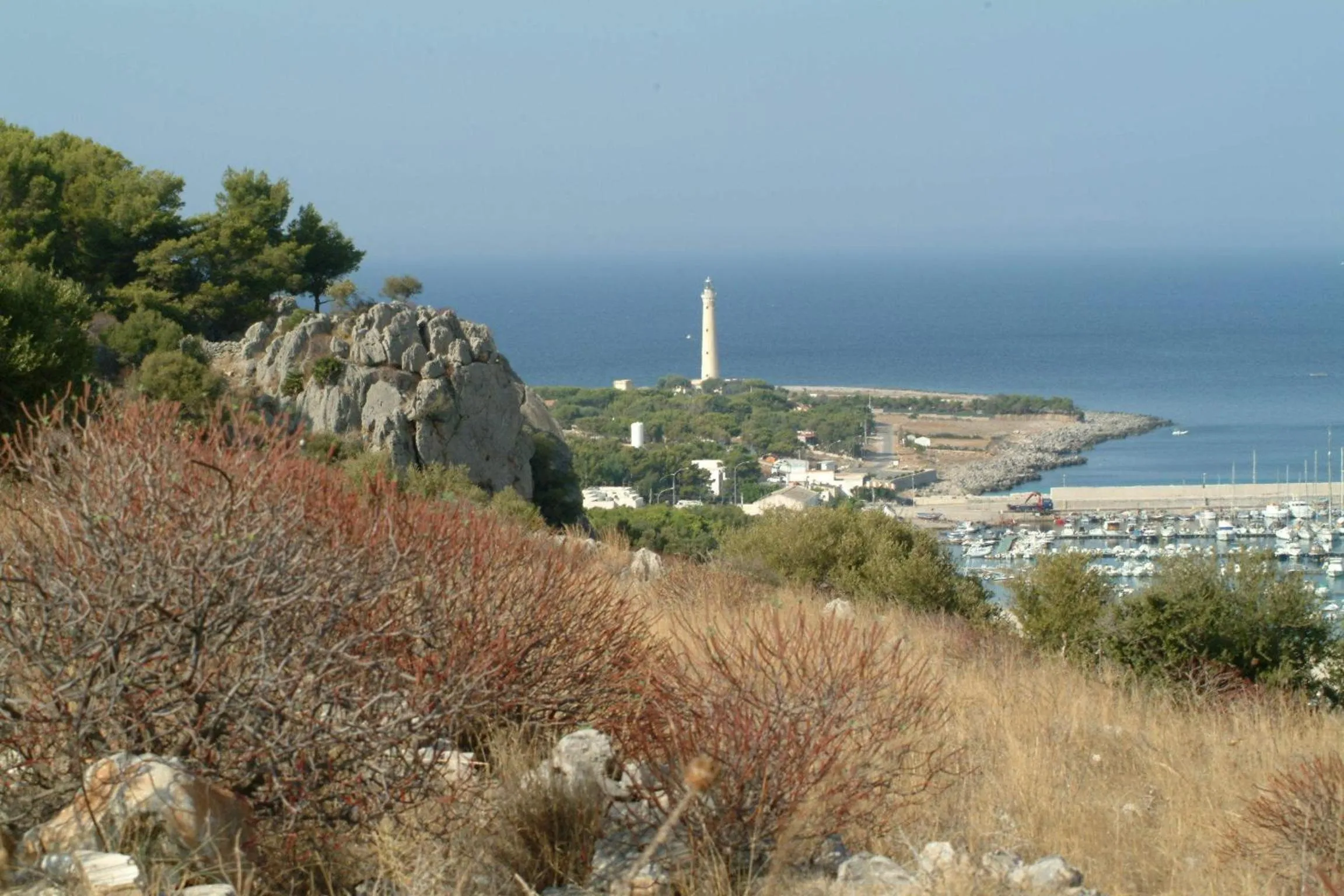 View (from property/room) in Sun Garden