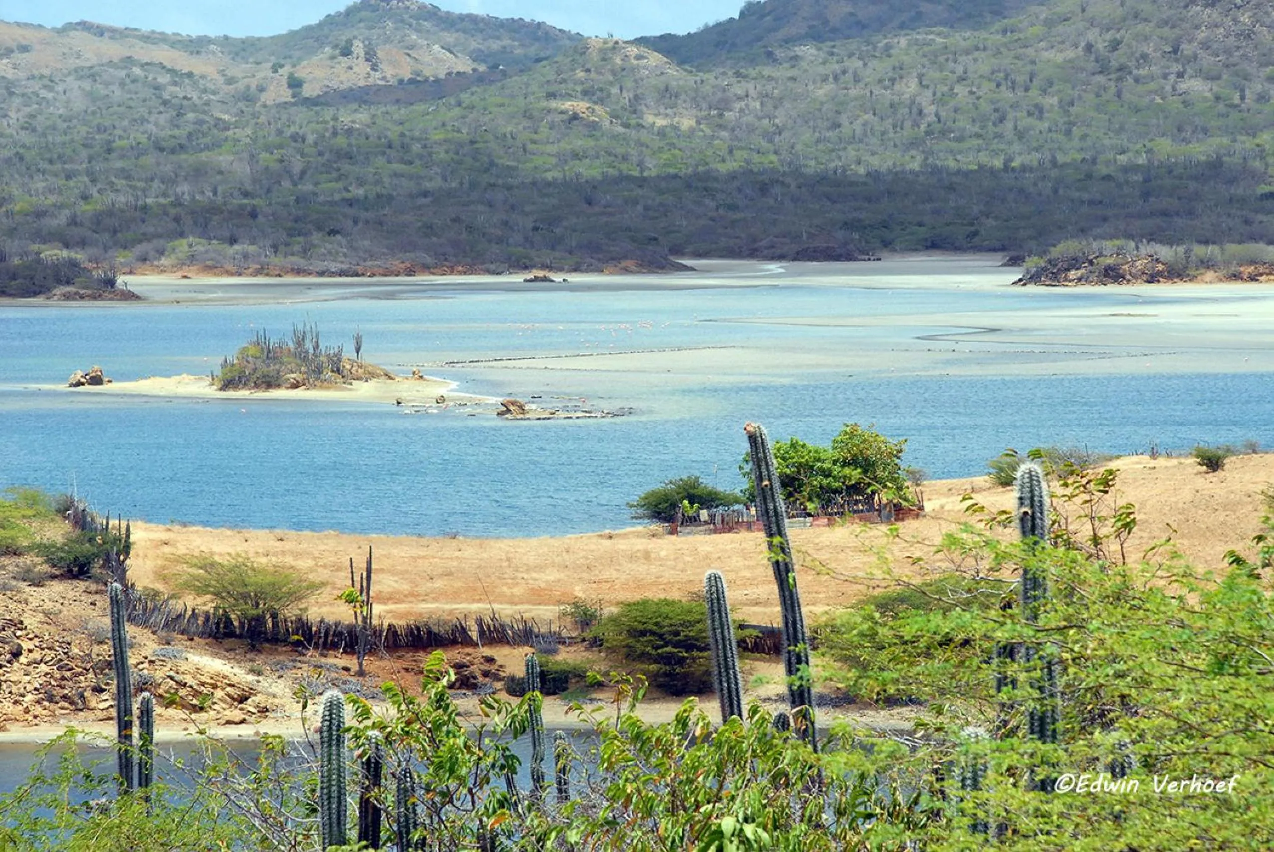 Other in BnBBonaire near the ocean