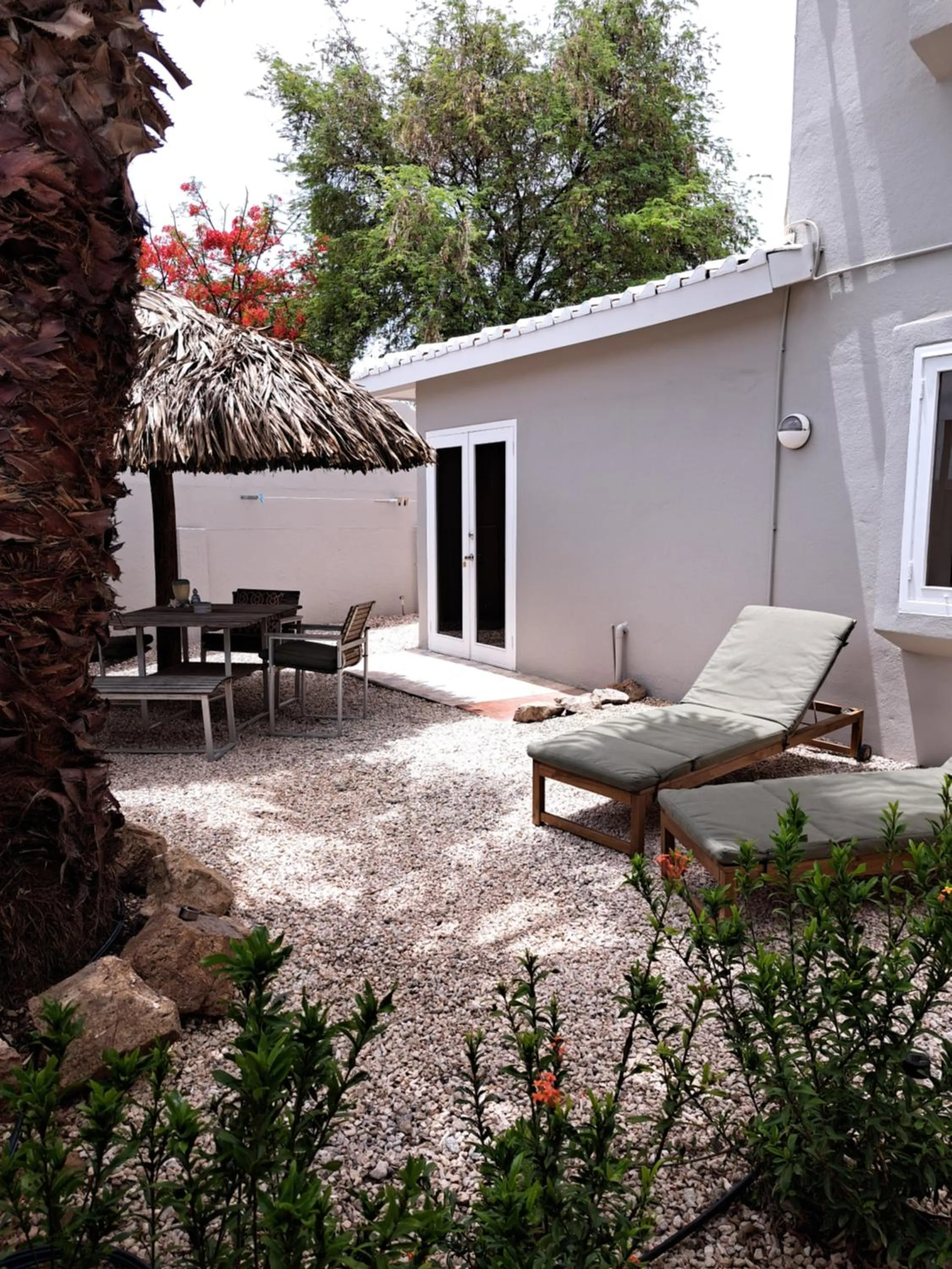 Garden in BnBBonaire near the ocean