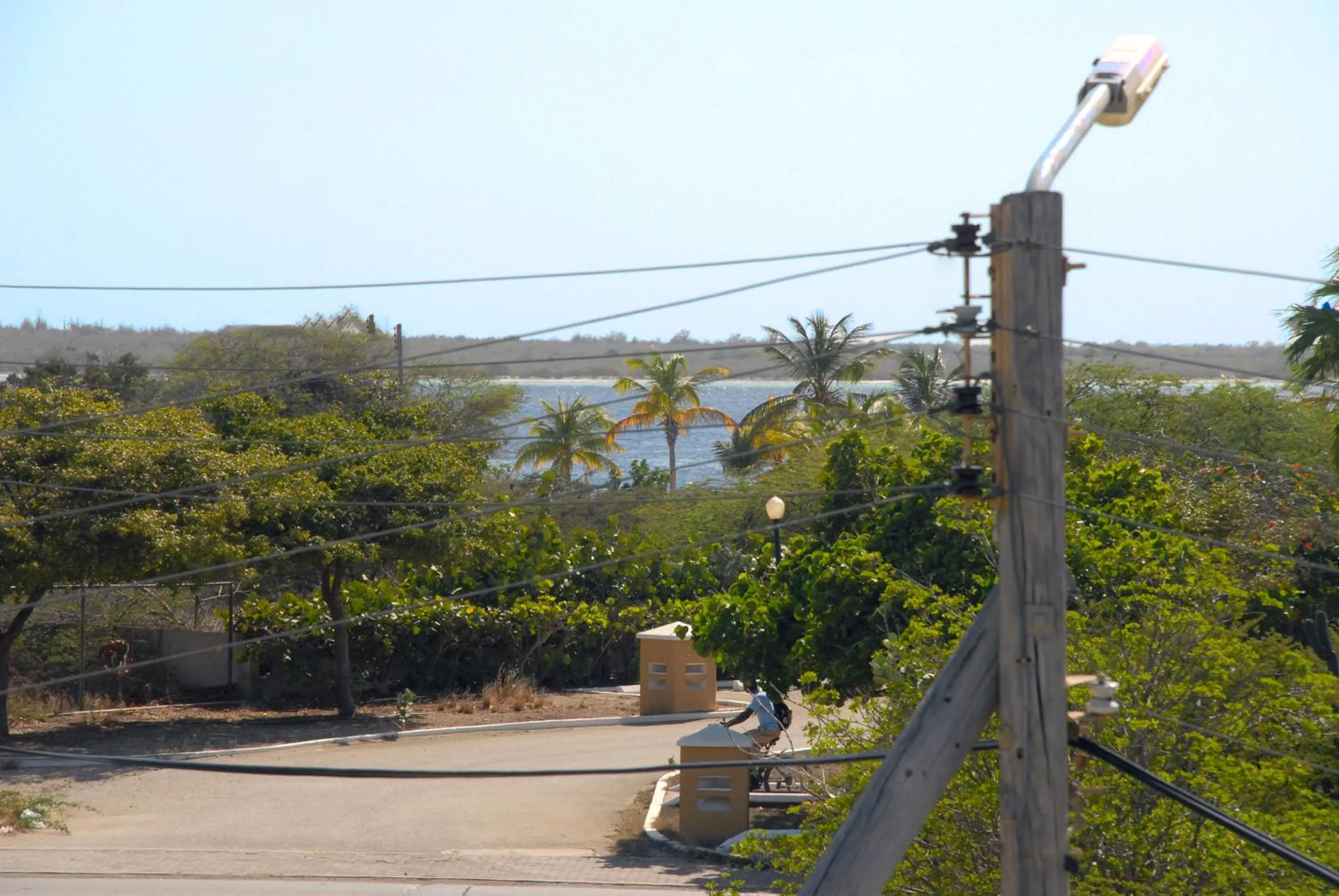Natural landscape in BnBBonaire near the ocean