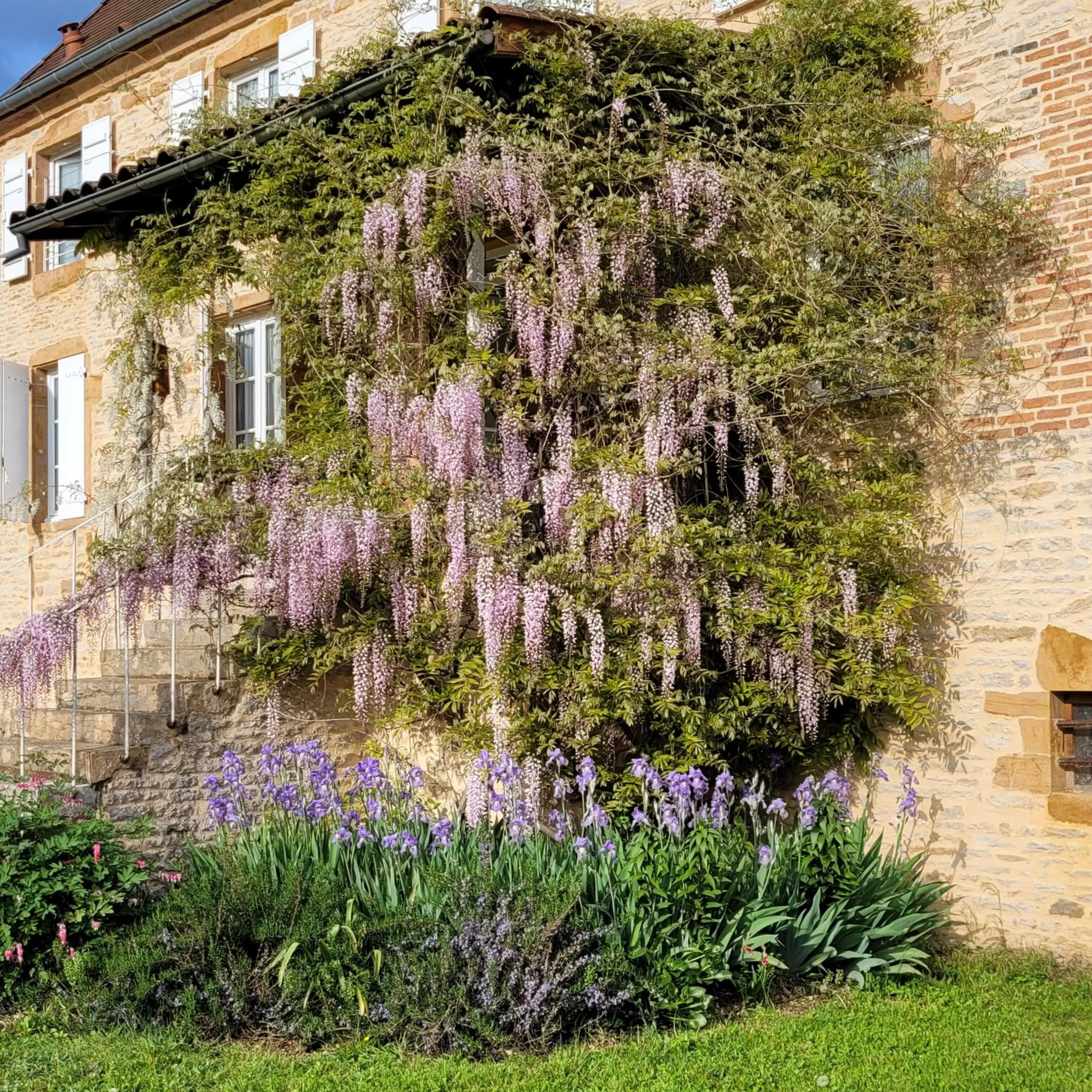 Garden in Le Logis D'Azé