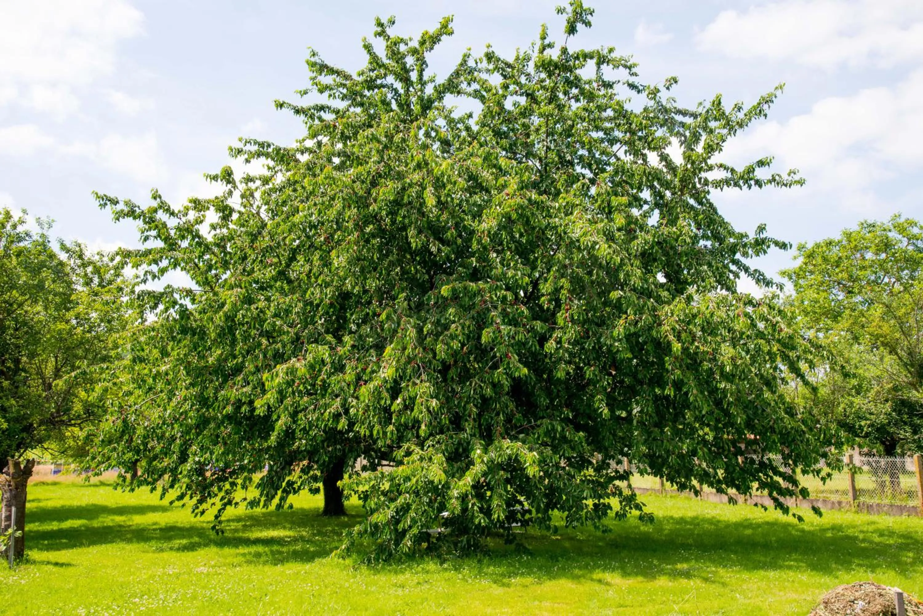 Natural landscape in Le Logis D'Azé