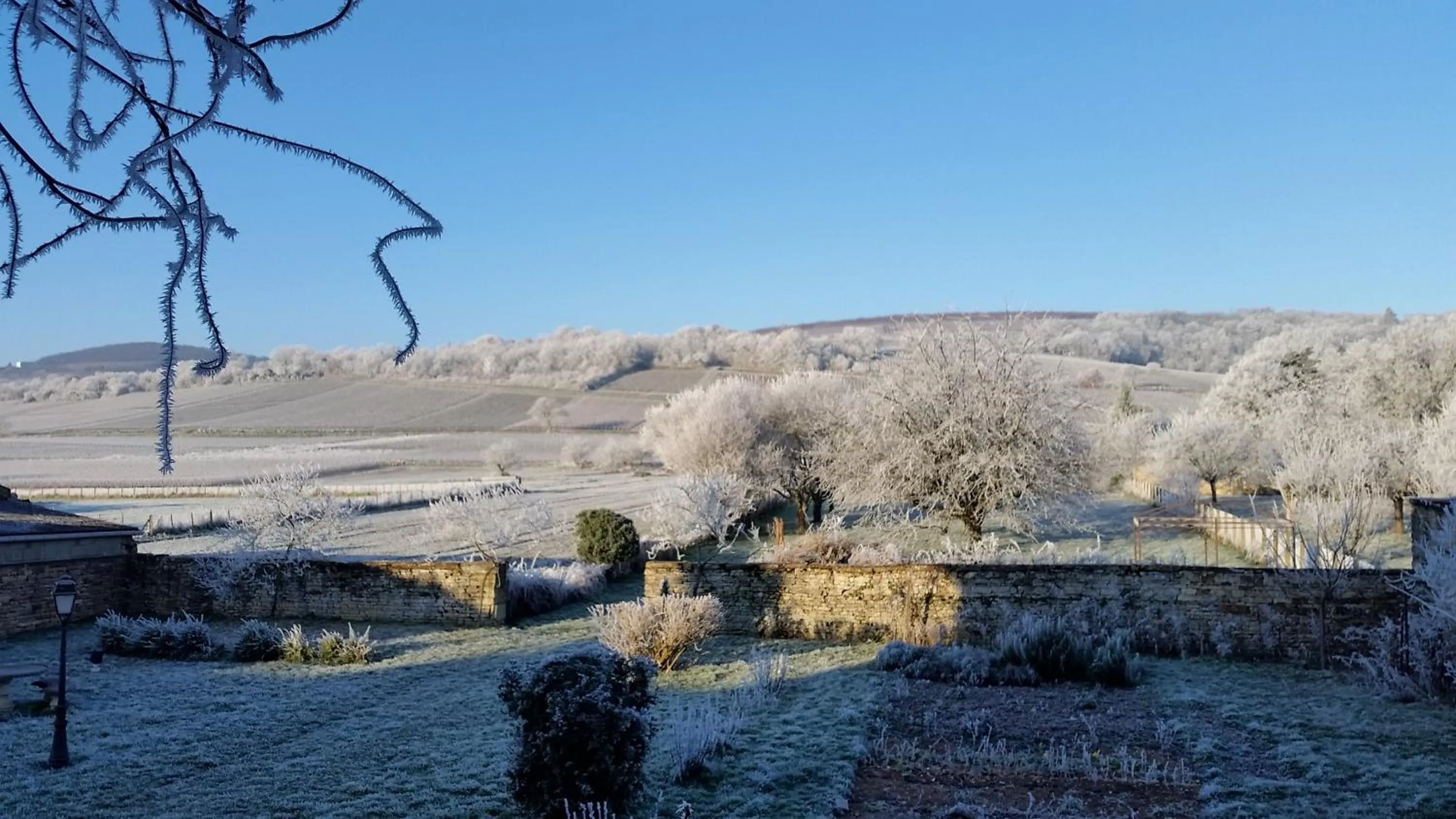 Garden in Le Logis D'Azé