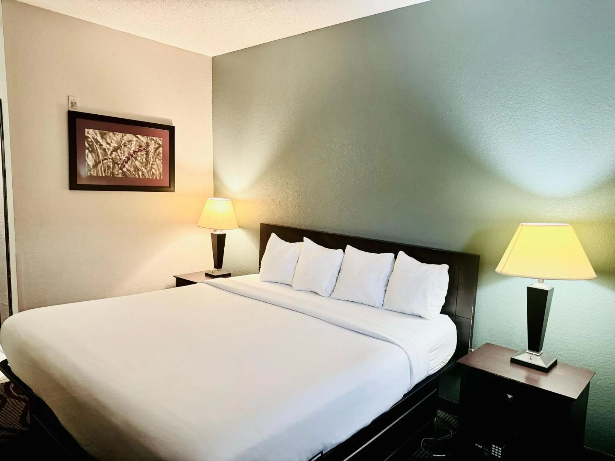 Bed in Baymont Inn & Suites by Wyndham Lincoln NE