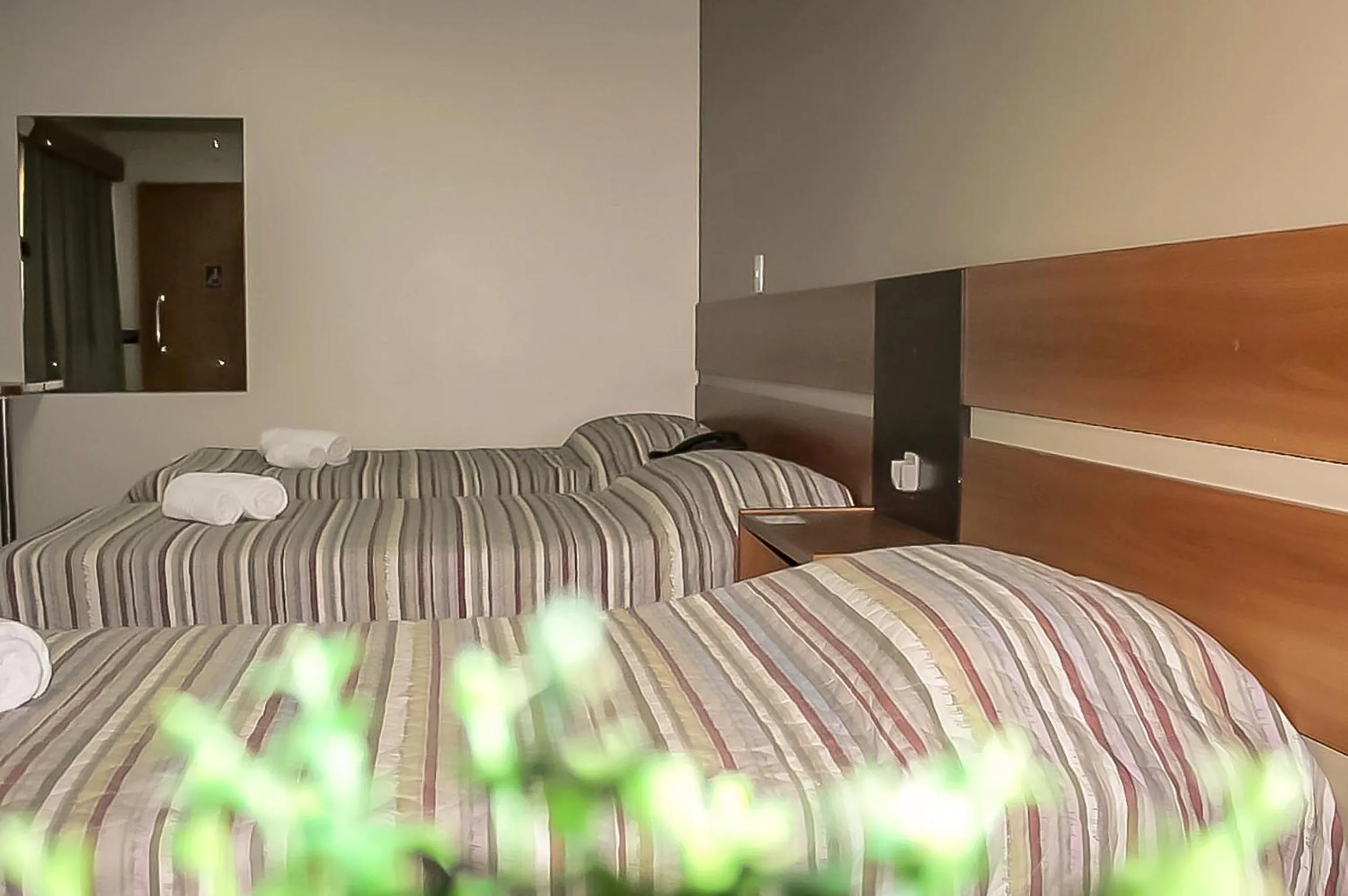 Photo of the whole room, Bed in Tri Hotel Centro Chapecó