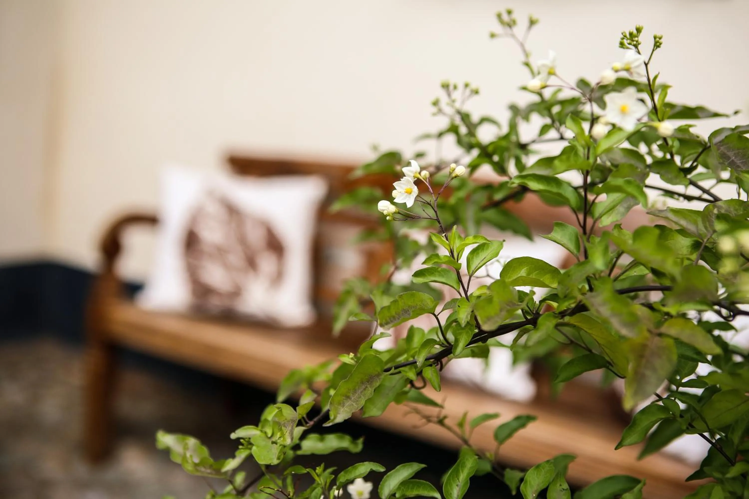 Decorative detail in Het Hemelsveld