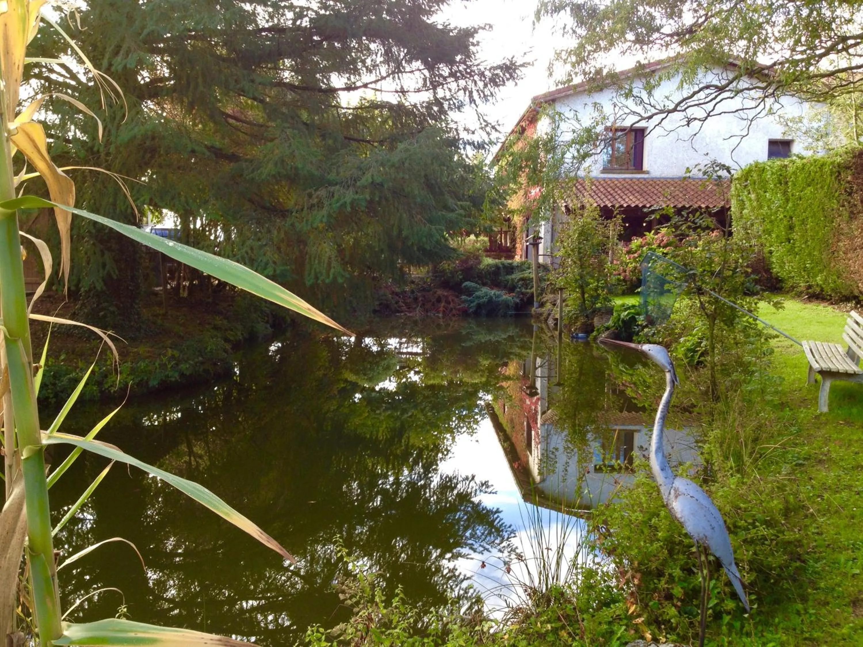 Garden view in La mare aux canards