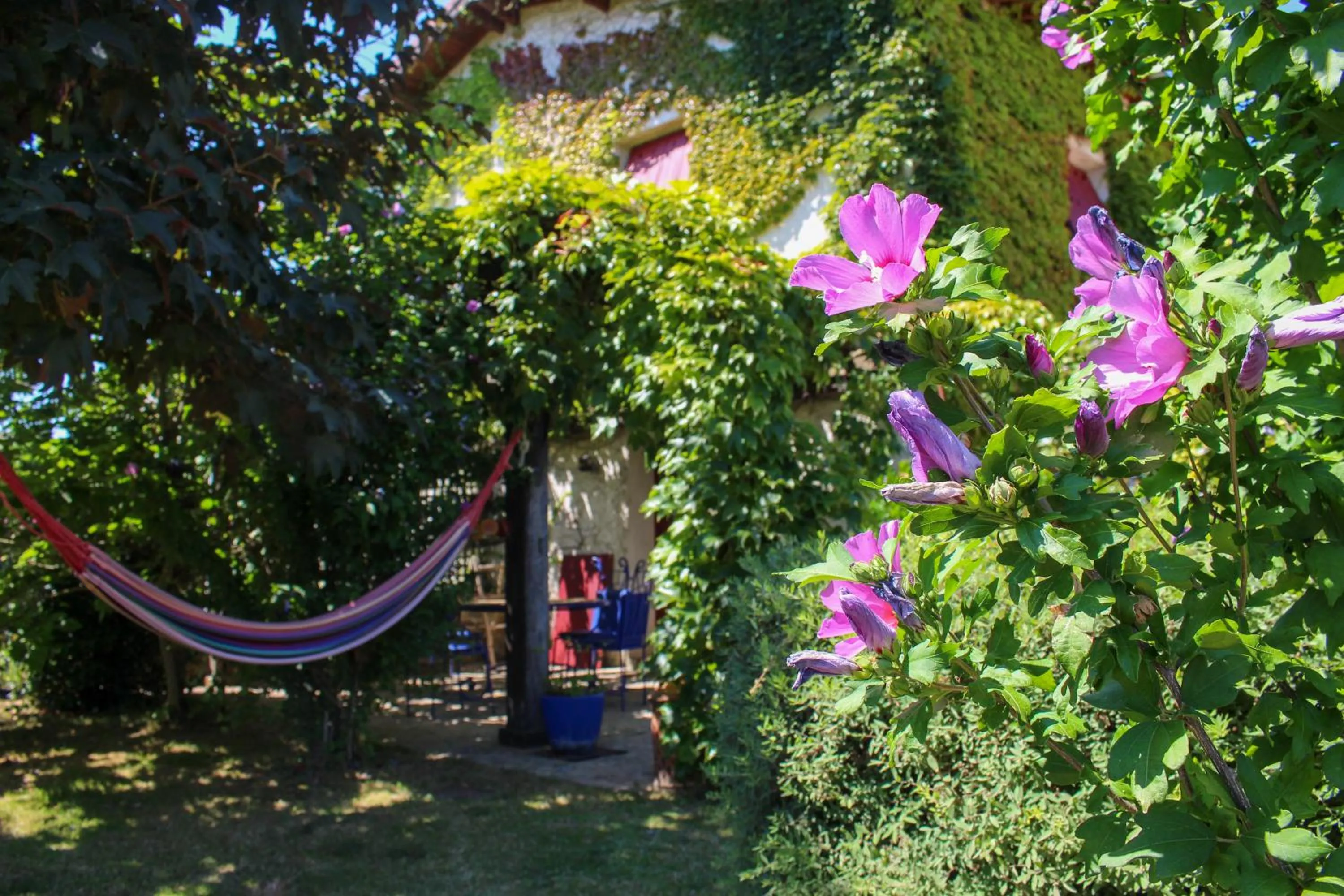 Balcony/Terrace in La mare aux canards