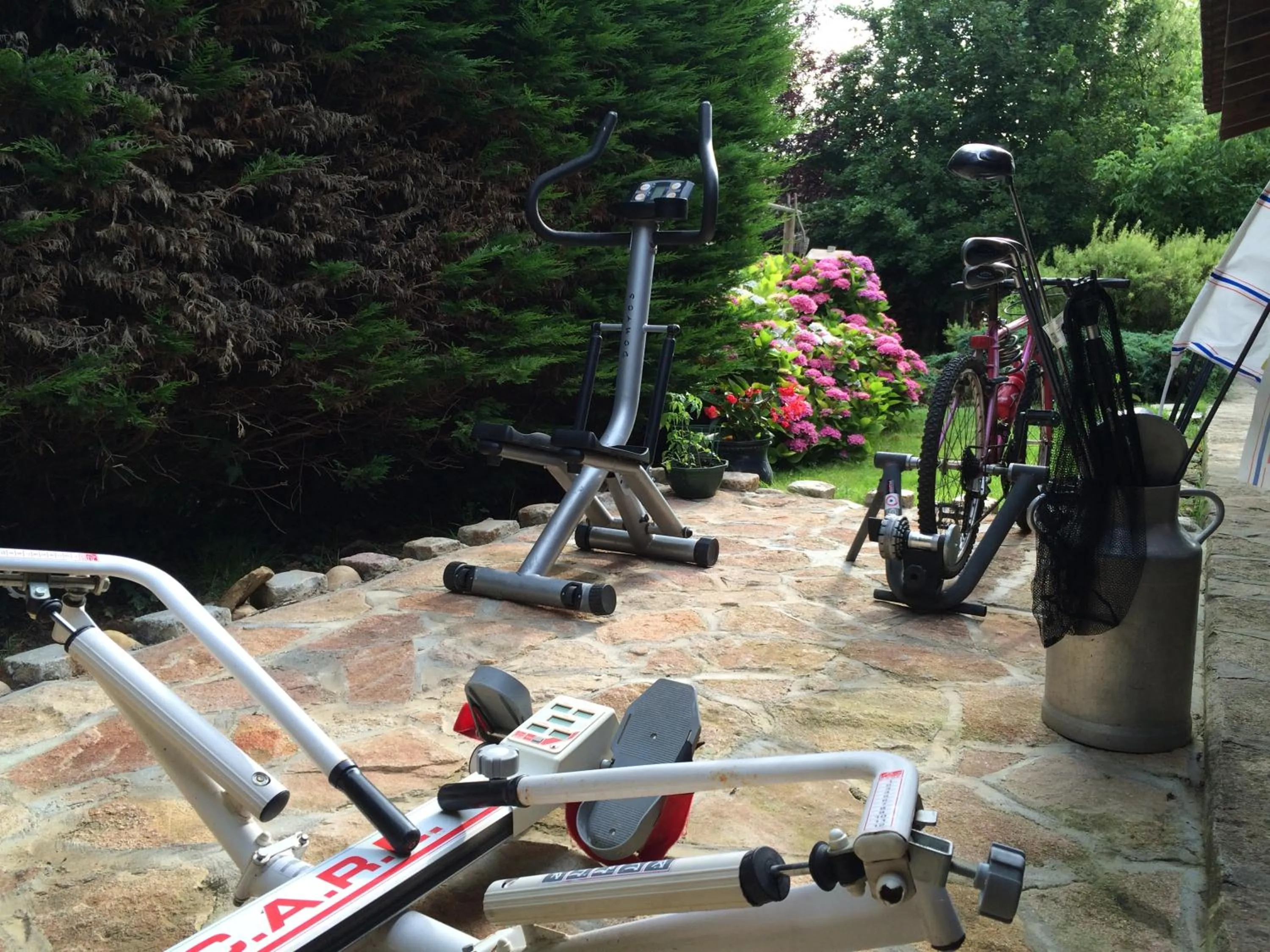 Activities in La mare aux canards