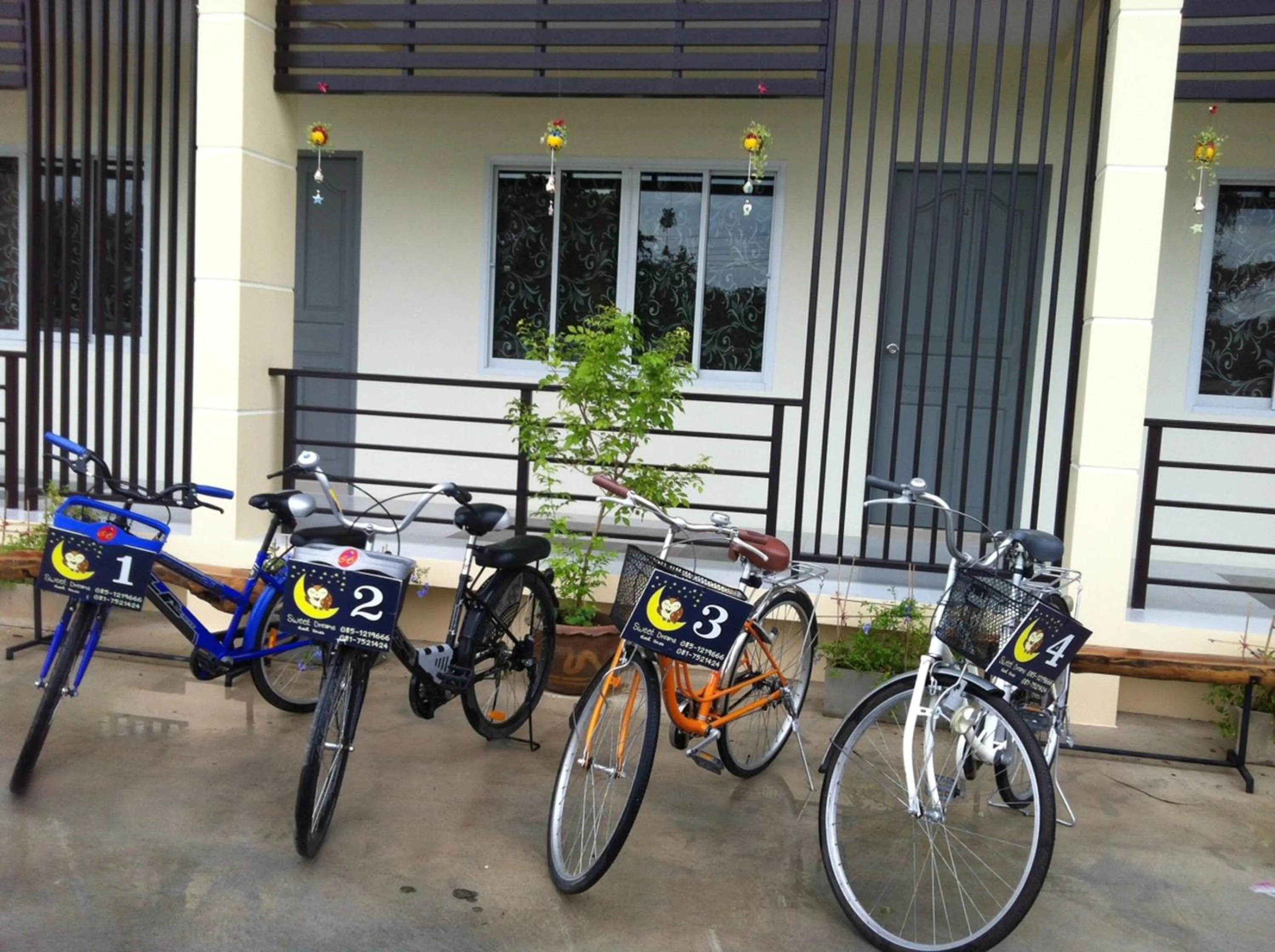 Activities in Sweet Dreams