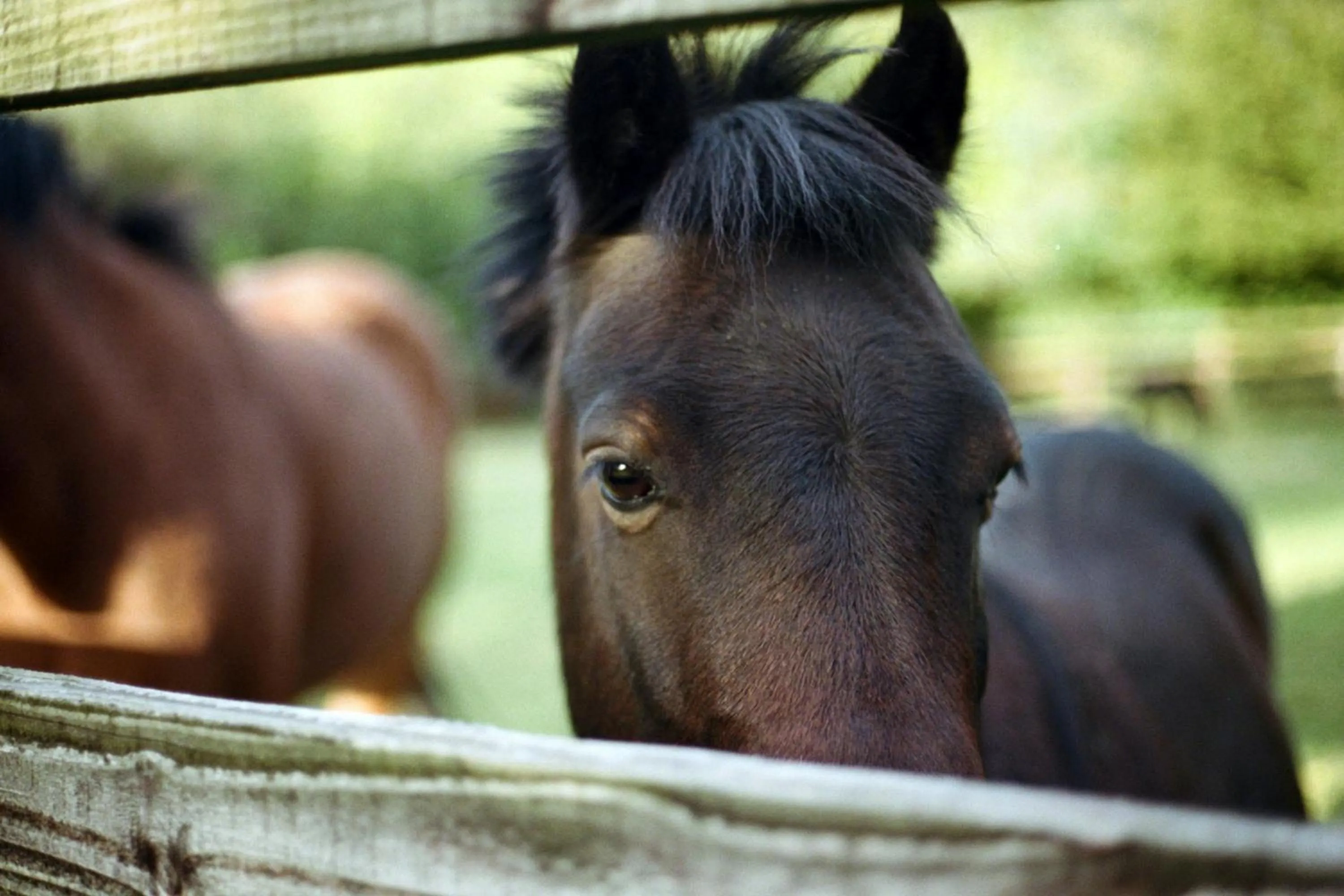 Other in Mount Juliet Estate, Autograph Collection