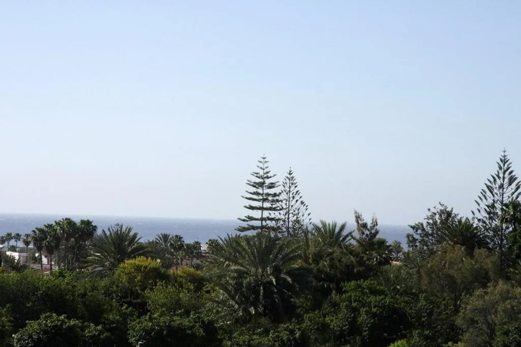 Area and facilities in Apartamentos Los Tilos