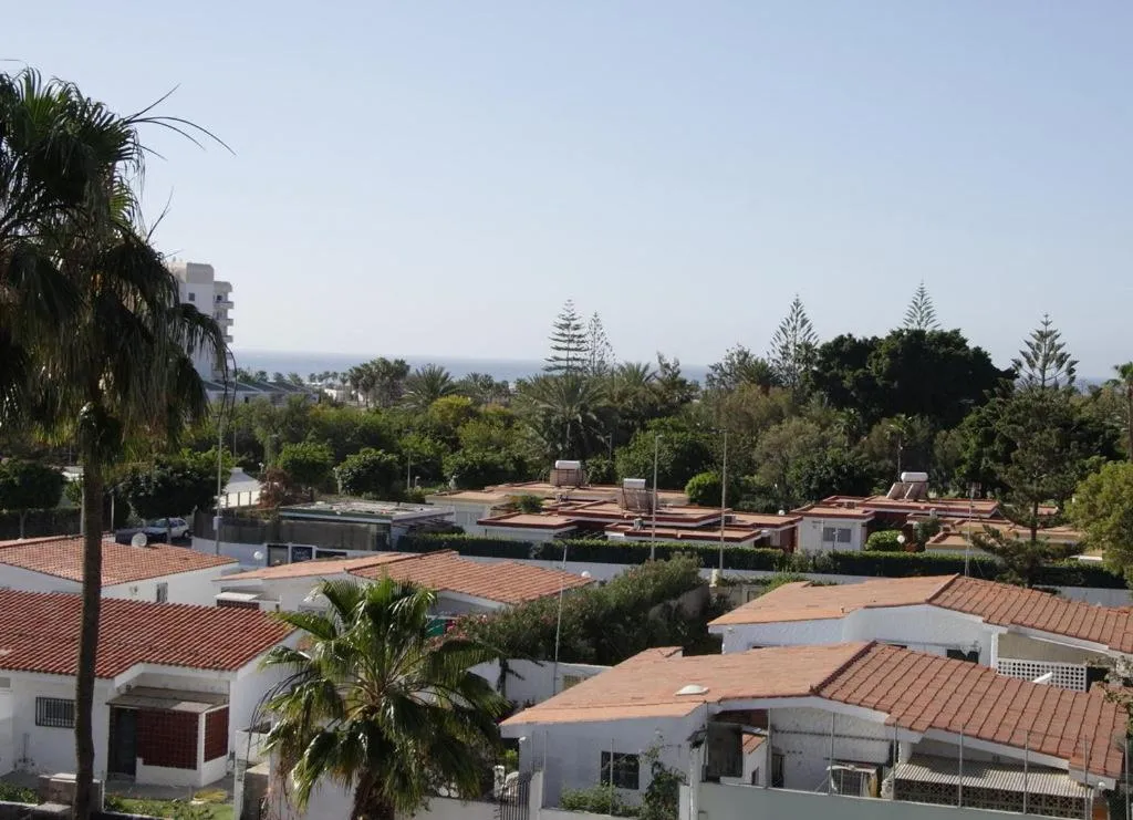 Bird's eye view in Apartamentos Los Tilos