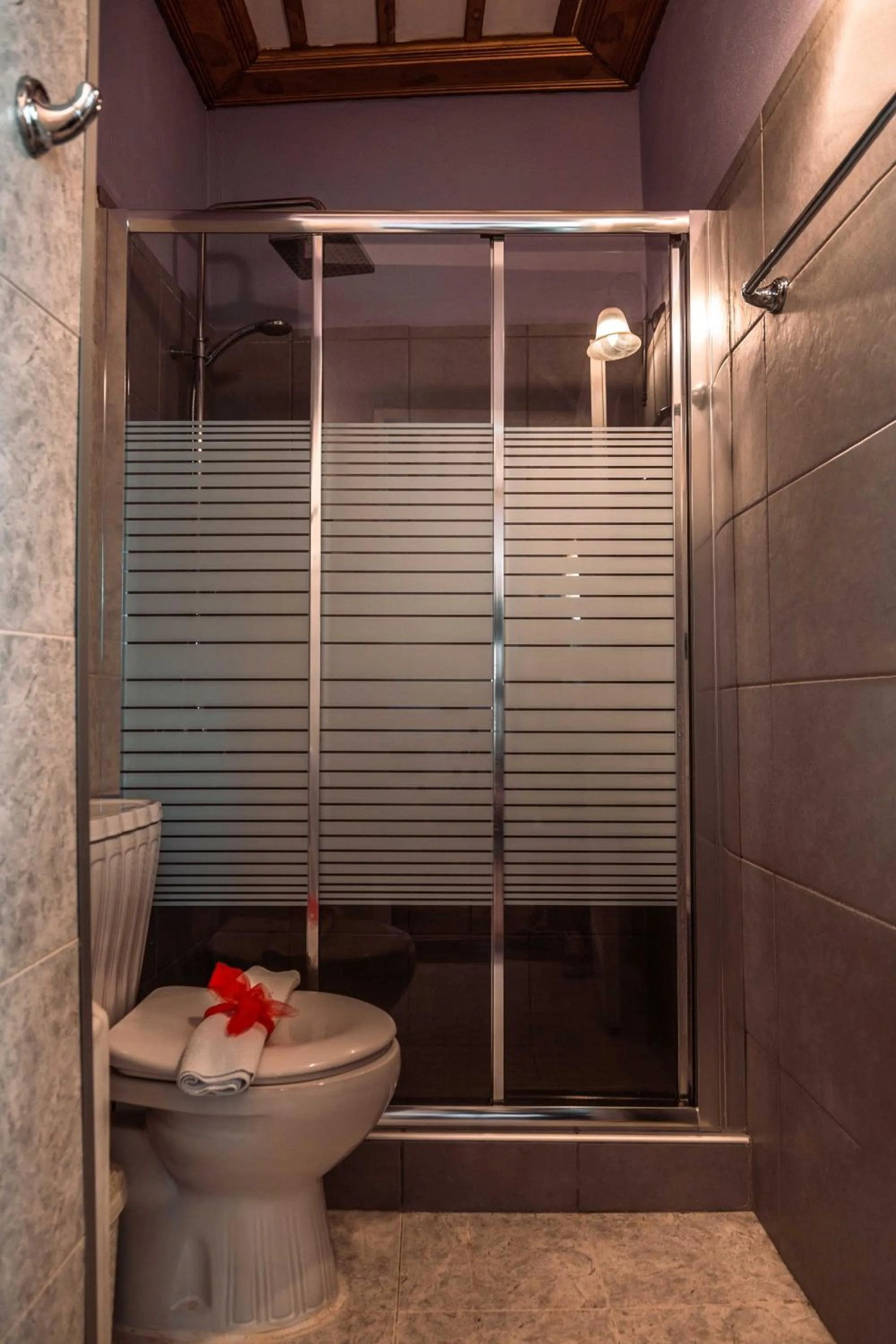 Shower in Ilion Hotel