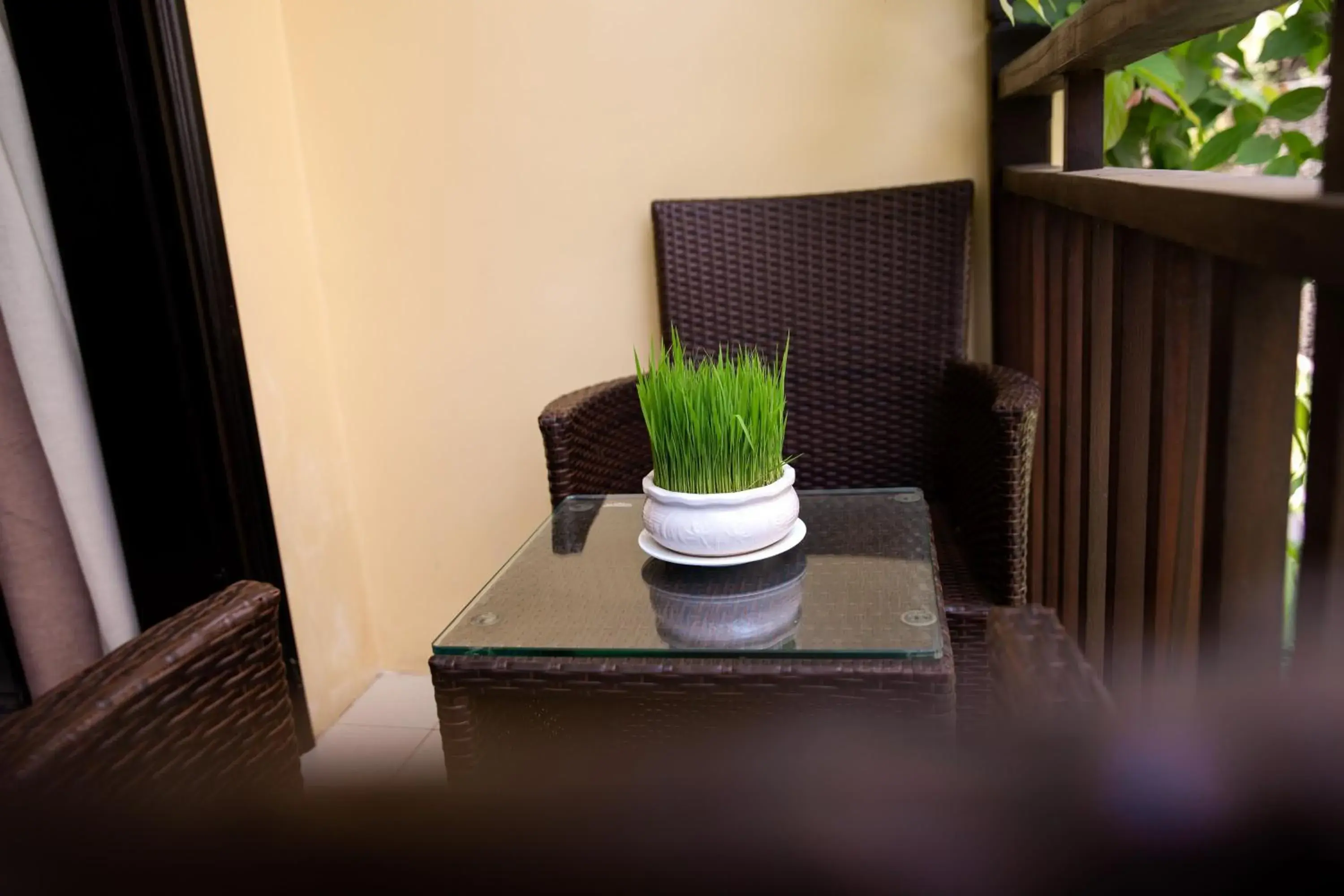 Property building in Silkotel Hoi An Property building in Silkotel Hoi An