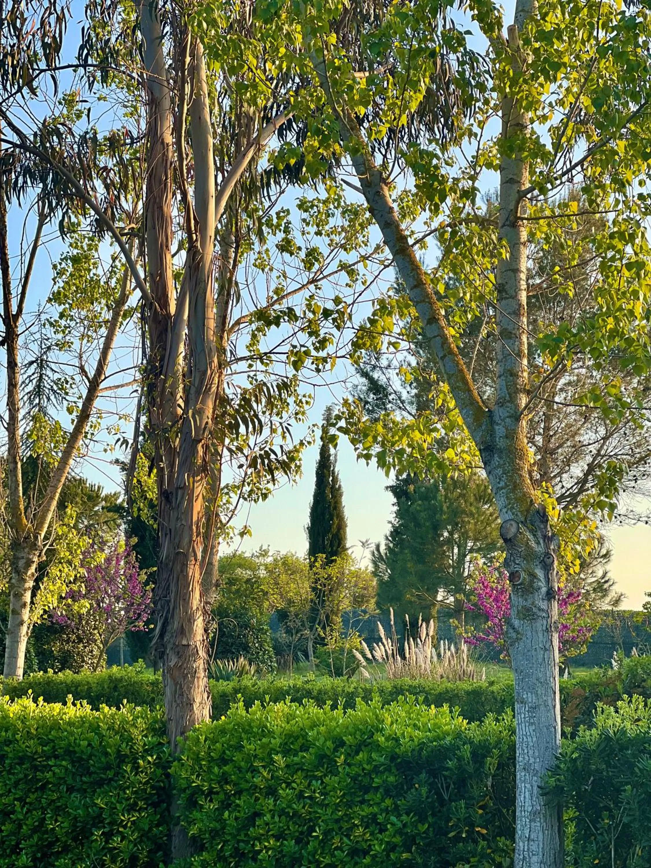 Garden in Hotel Aatu - Adults Only