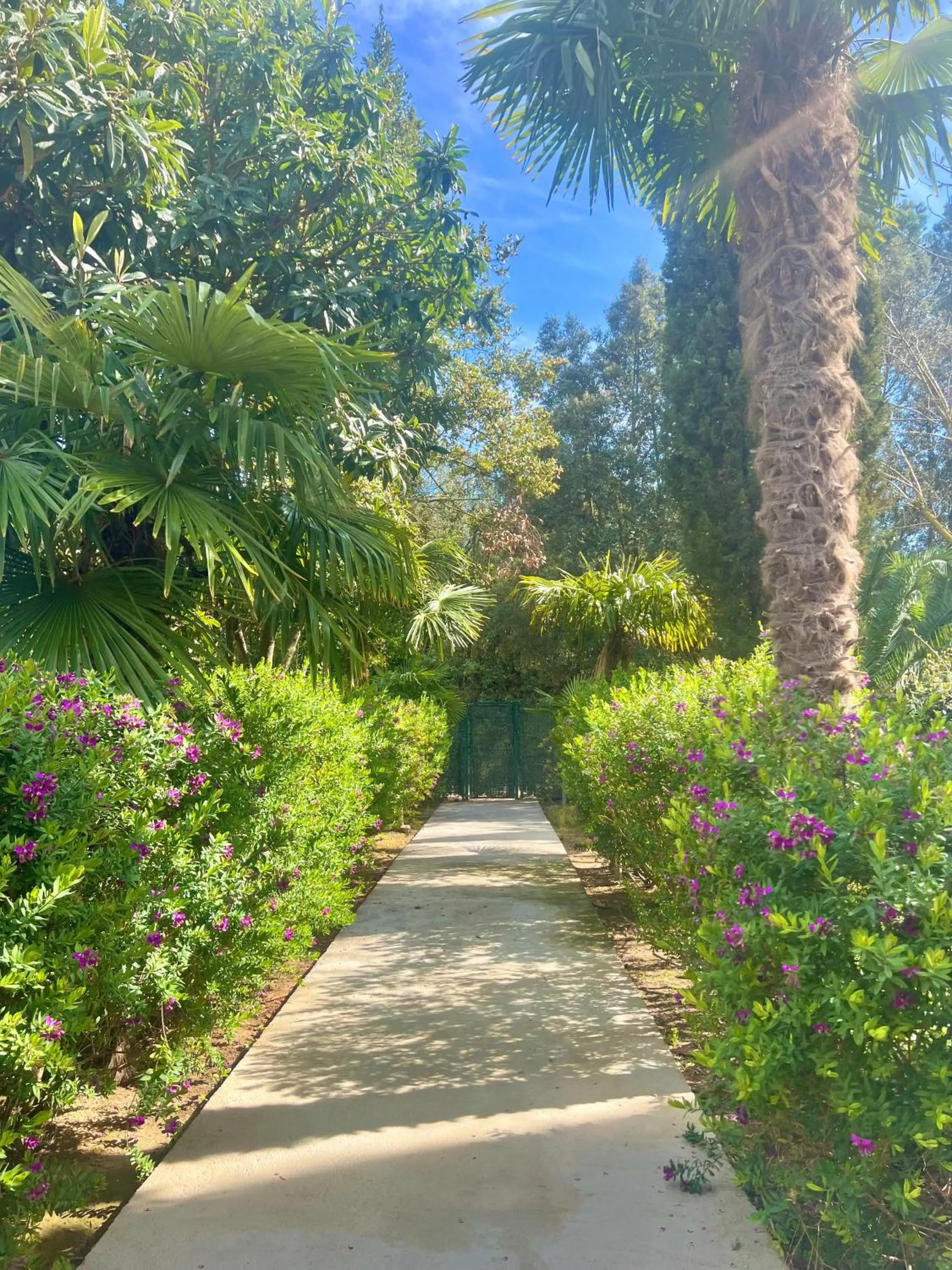 Garden in Hotel Aatu - Adults Only