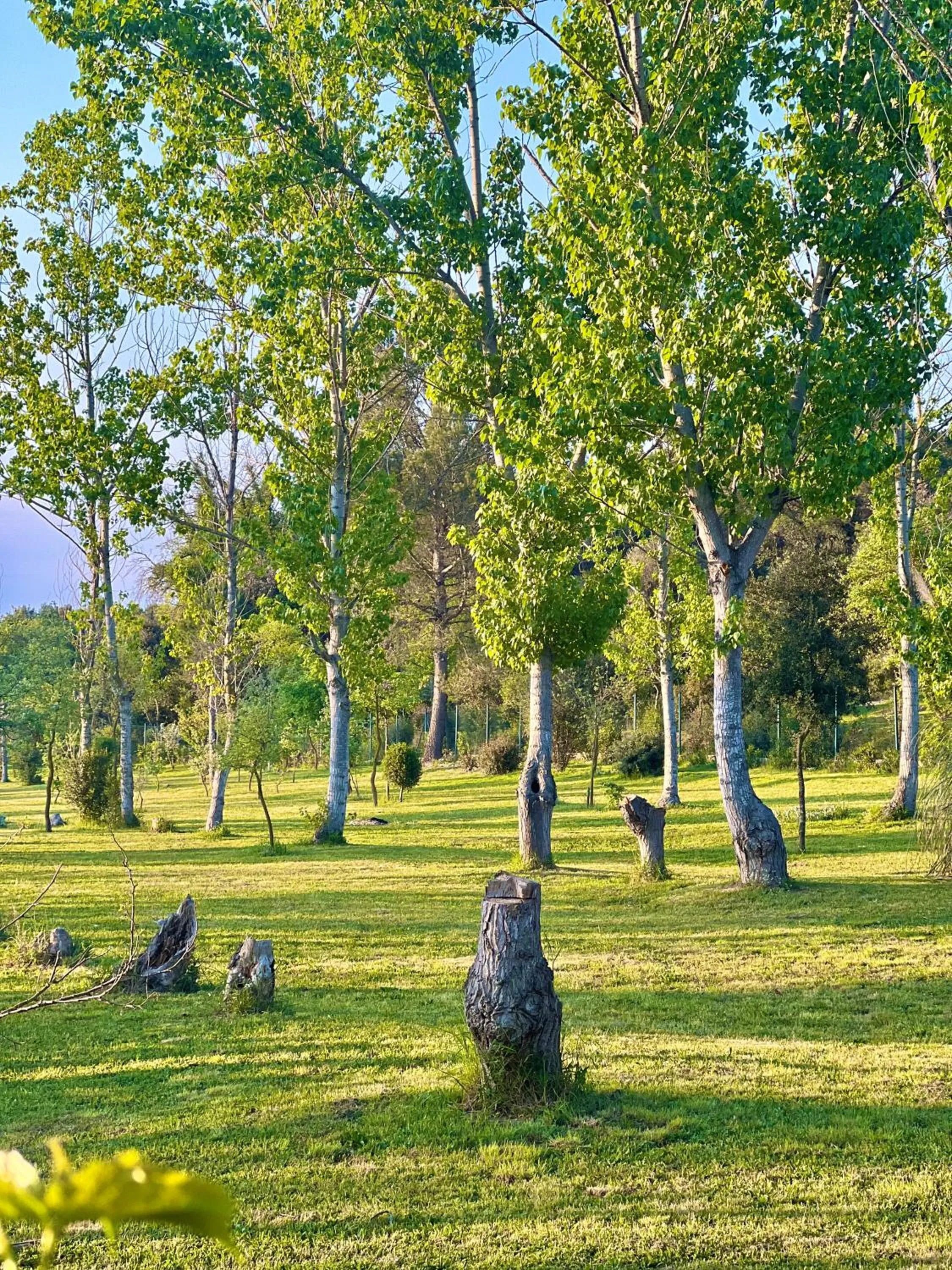 Garden in Hotel Aatu - Adults Only