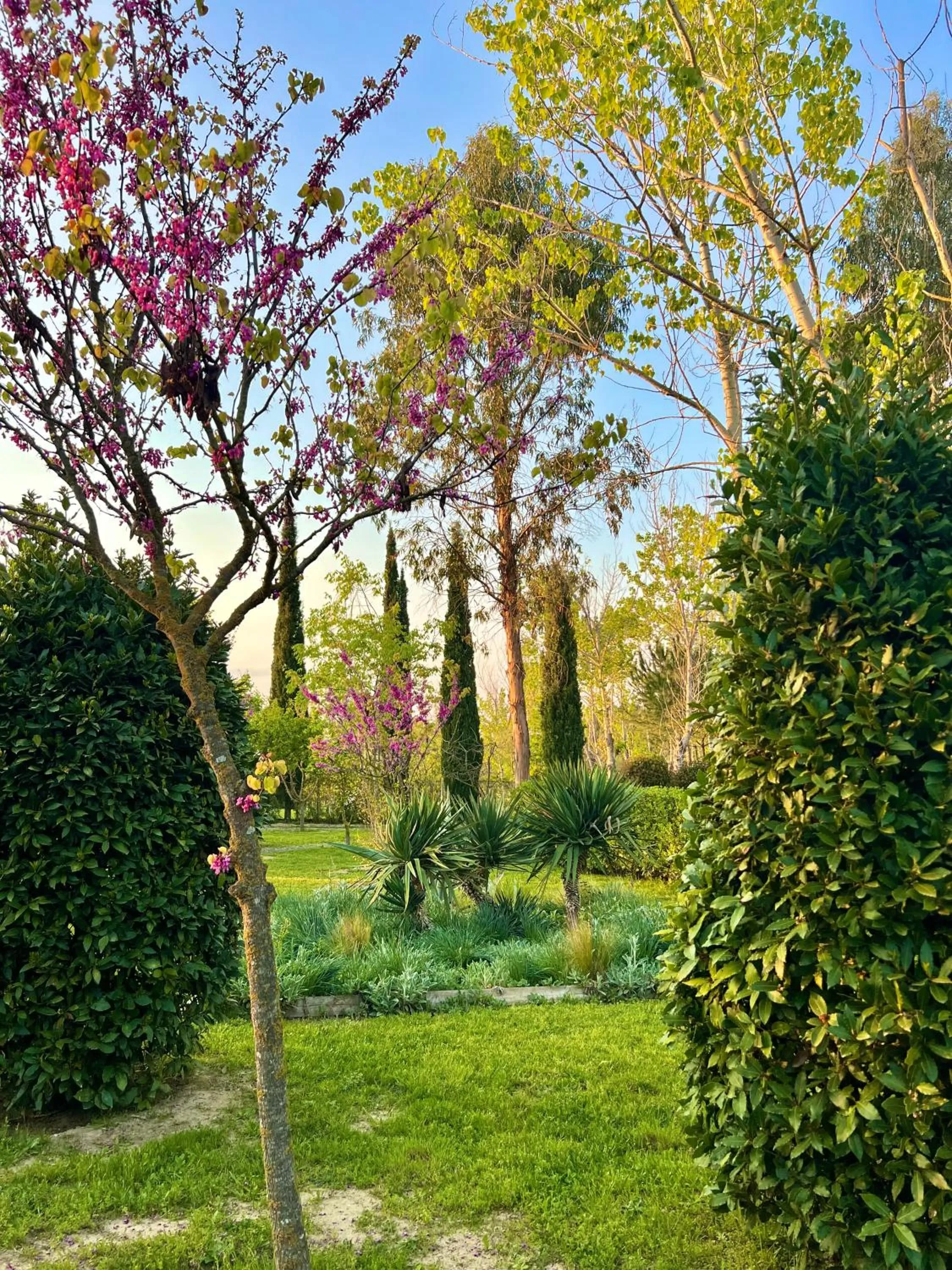 Garden in Hotel Aatu - Adults Only