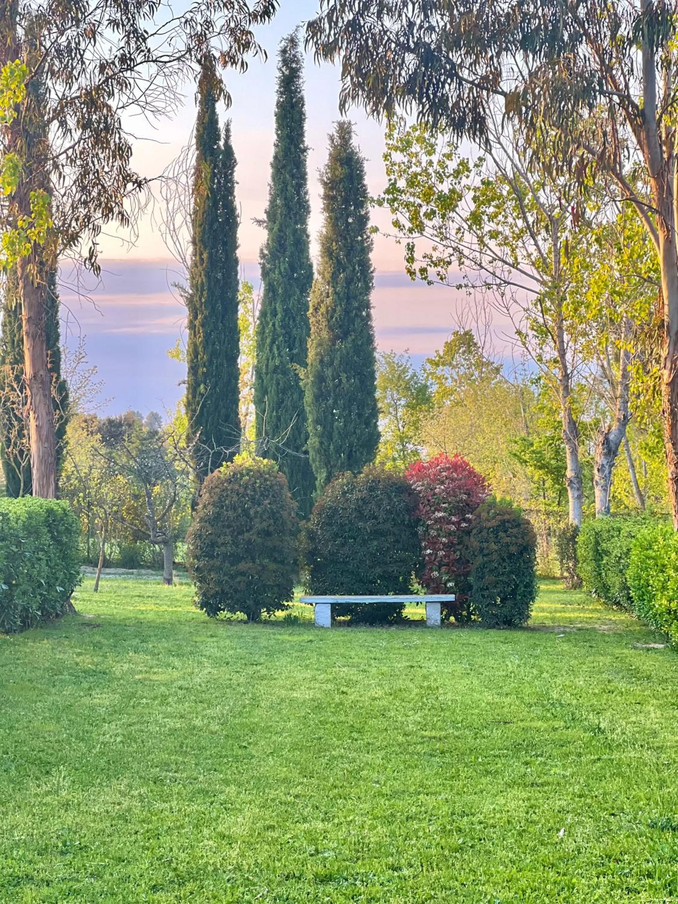 Garden in Hotel Aatu - Adults Only