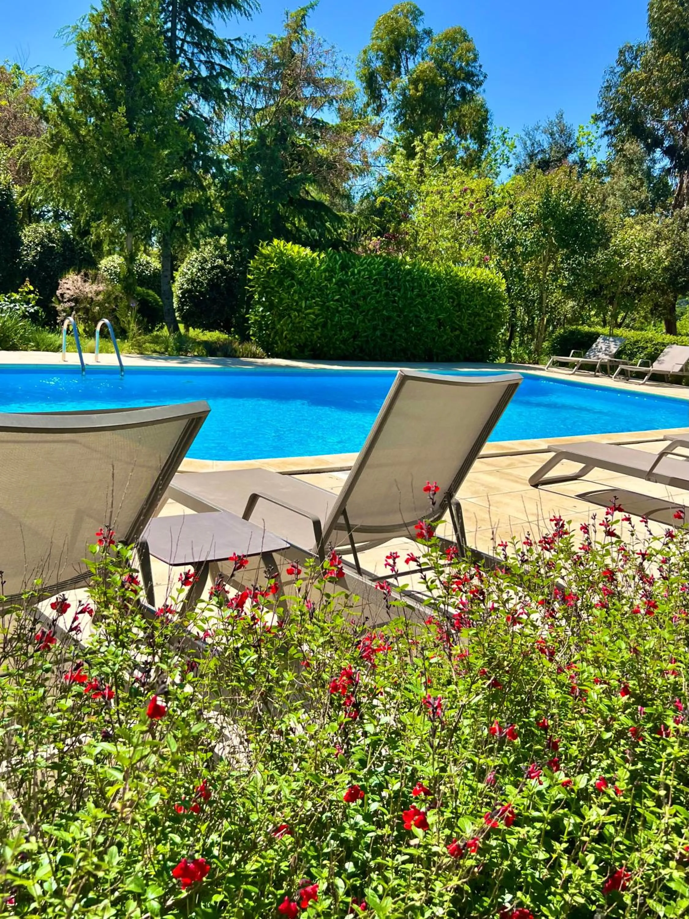 Garden in Hotel Aatu - Adults Only