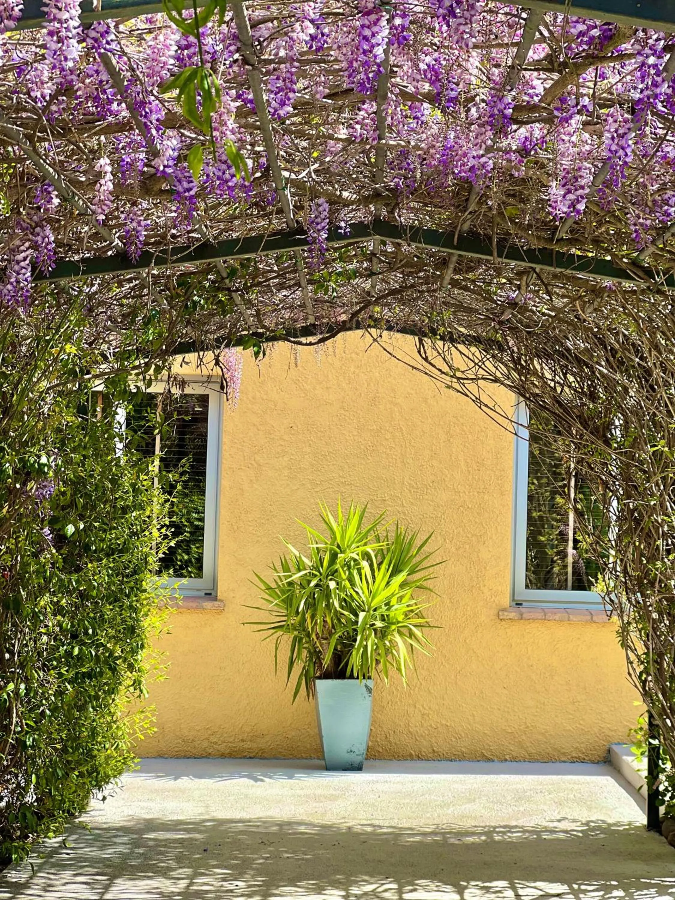 Garden in Hotel Aatu - Adults Only