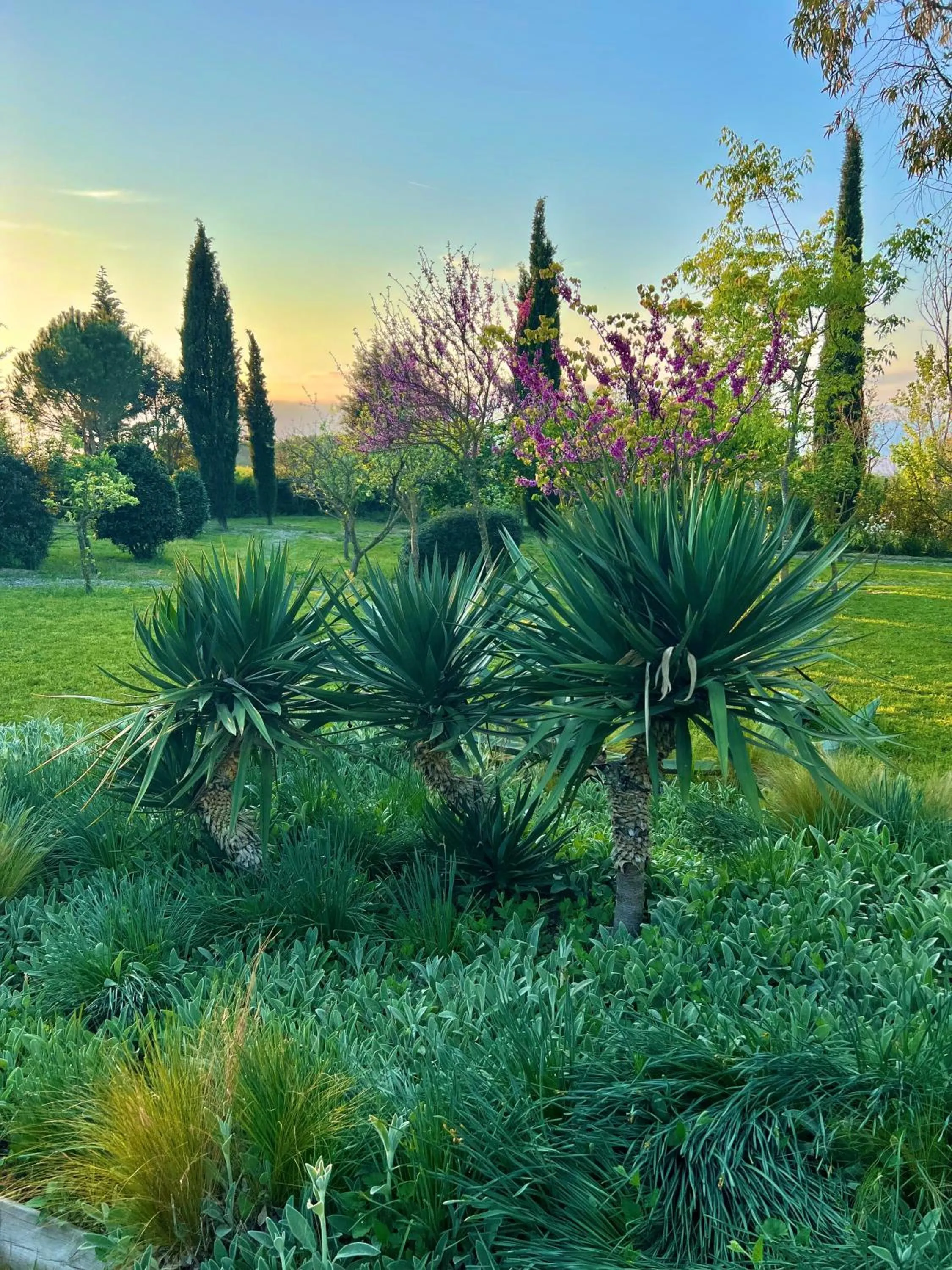 Garden in Hotel Aatu - Adults Only