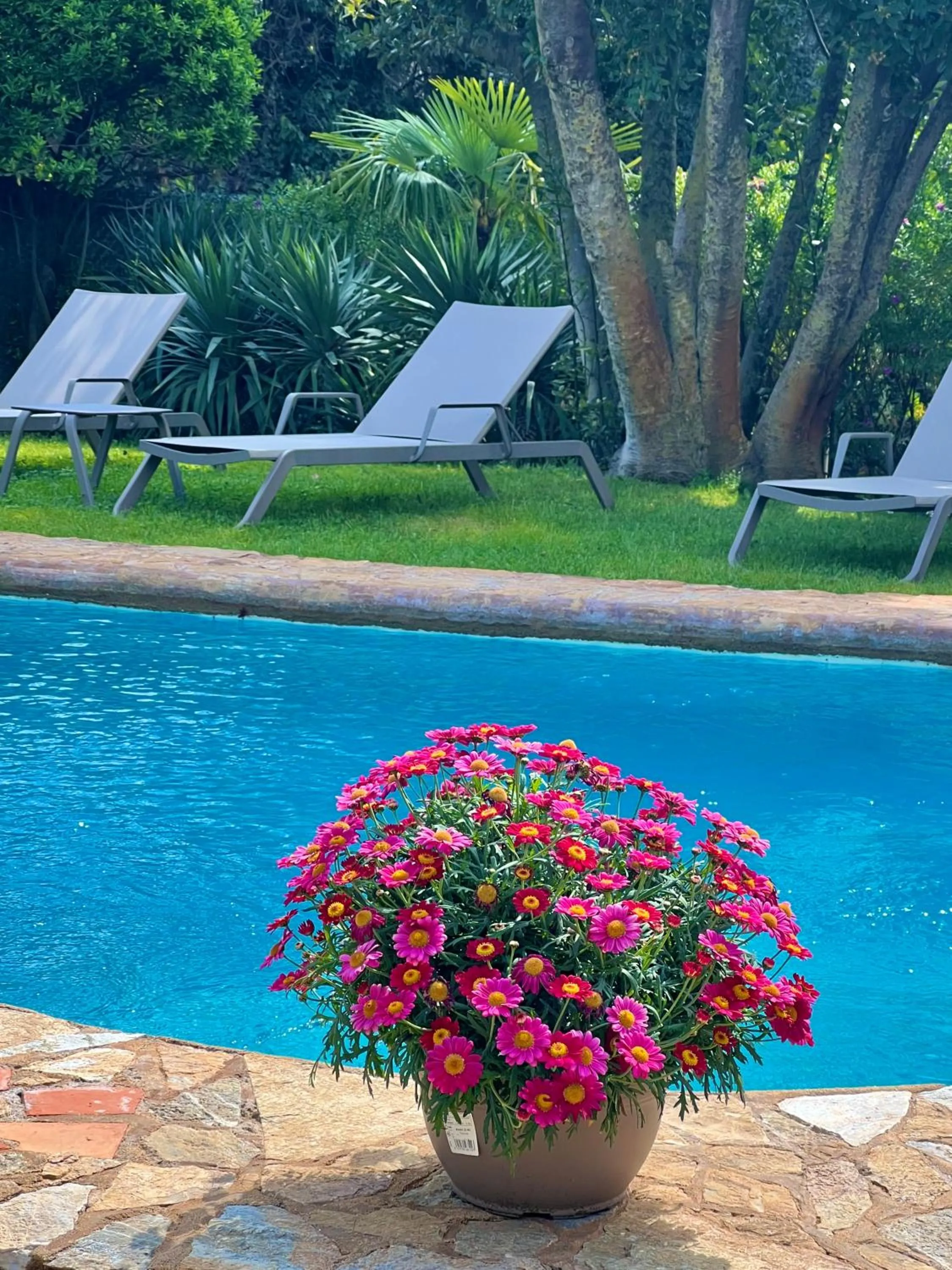Swimming pool in Hotel Aatu - Adults Only