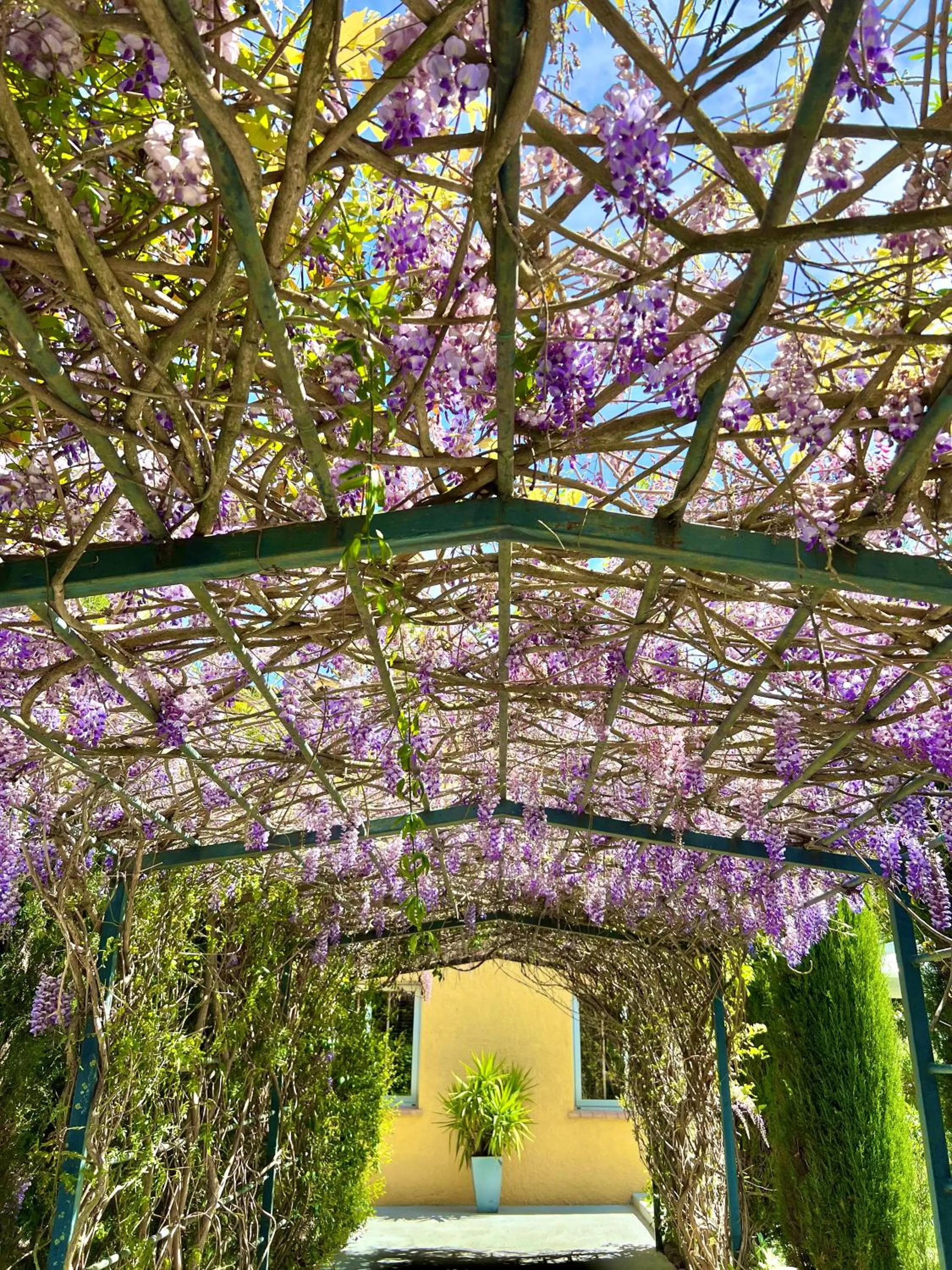 Garden in Hotel Aatu - Adults Only