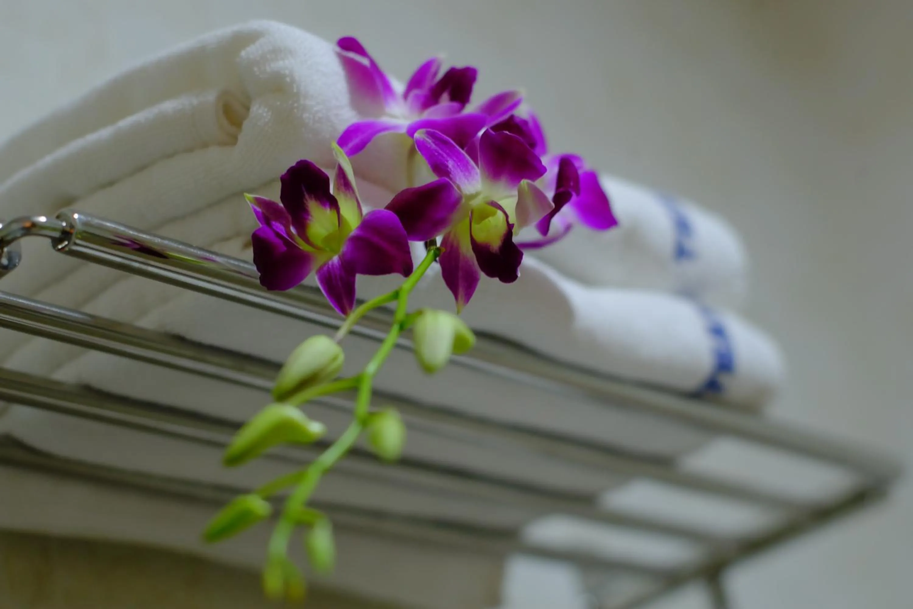 Bathroom in Thành Hoàng Châu Boutique Hotel
