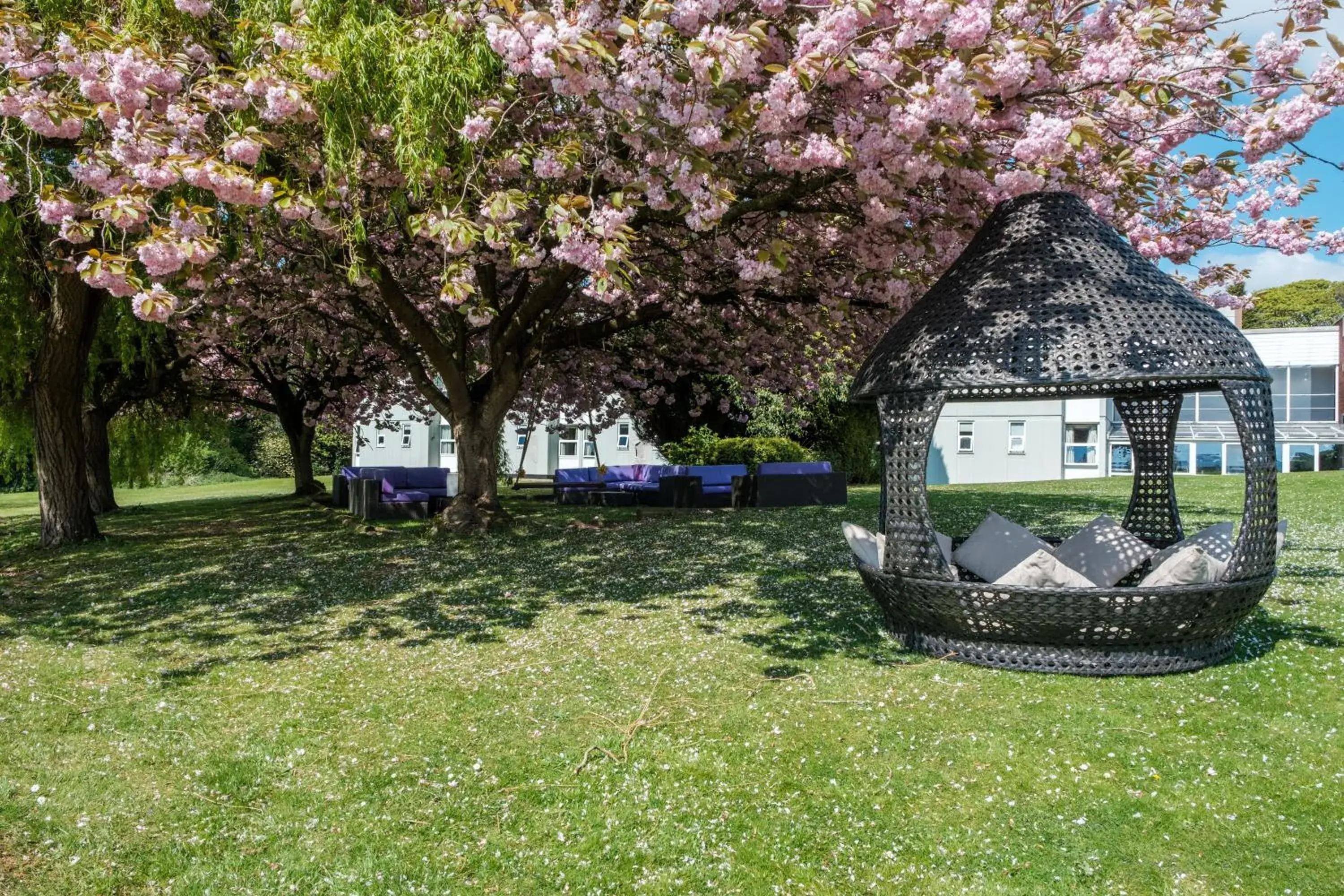 Garden in Hull Humber View Hotel, BW Signature Collection Garden in Hull Humber View Hotel, BW Signature Collection