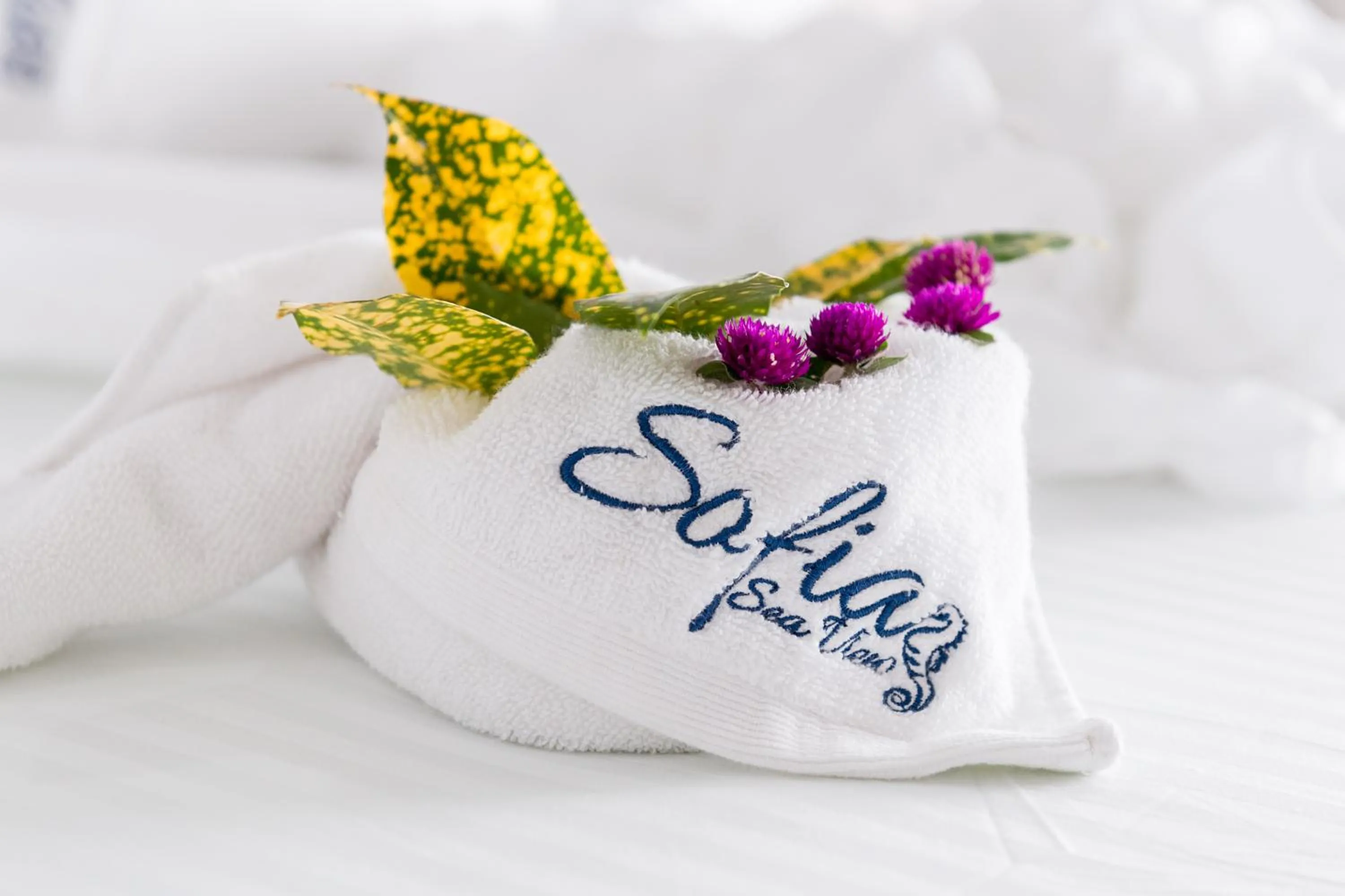 Decorative detail in Sofia Sea View