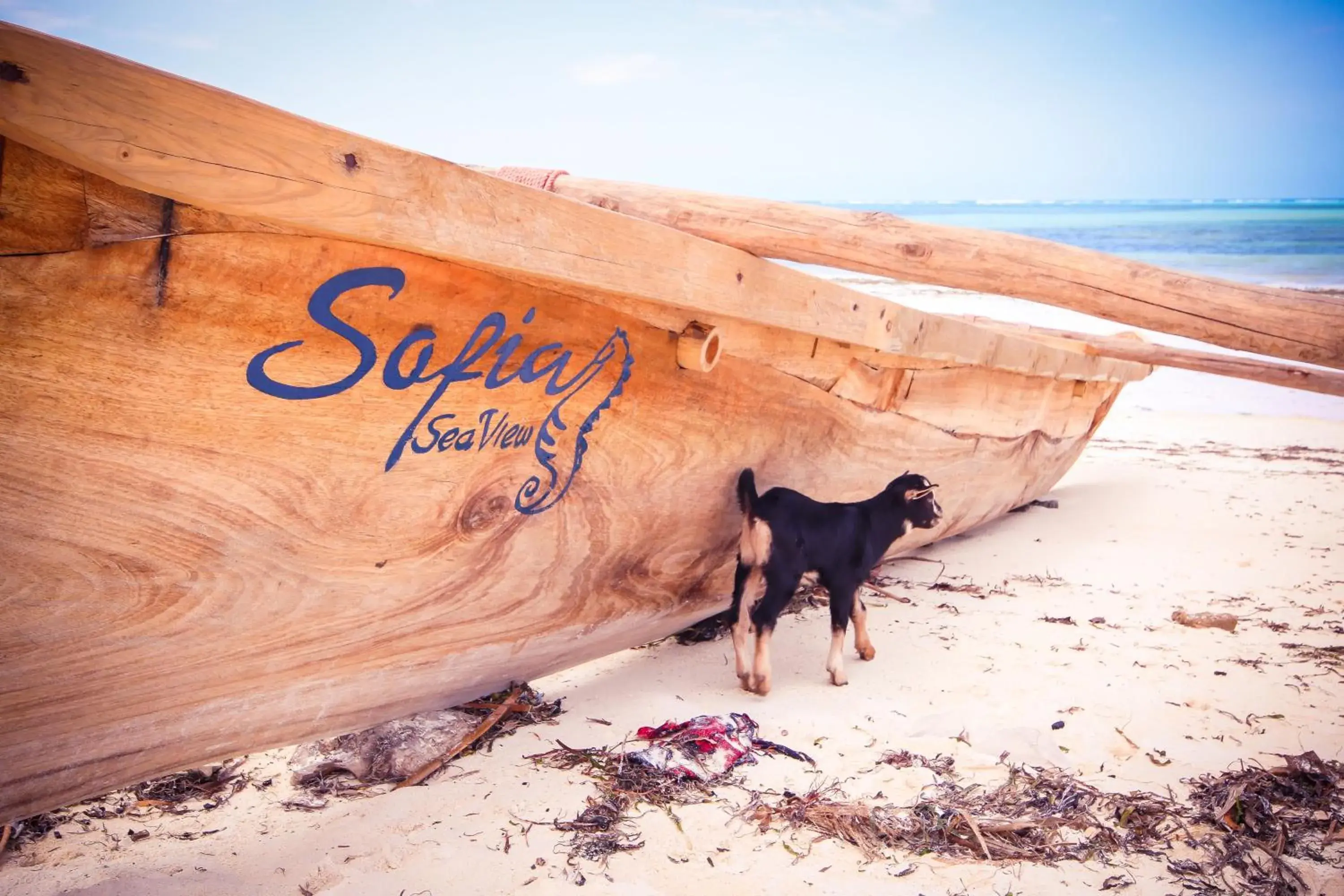 Natural landscape in Sofia Sea View Natural landscape in Sofia Sea View