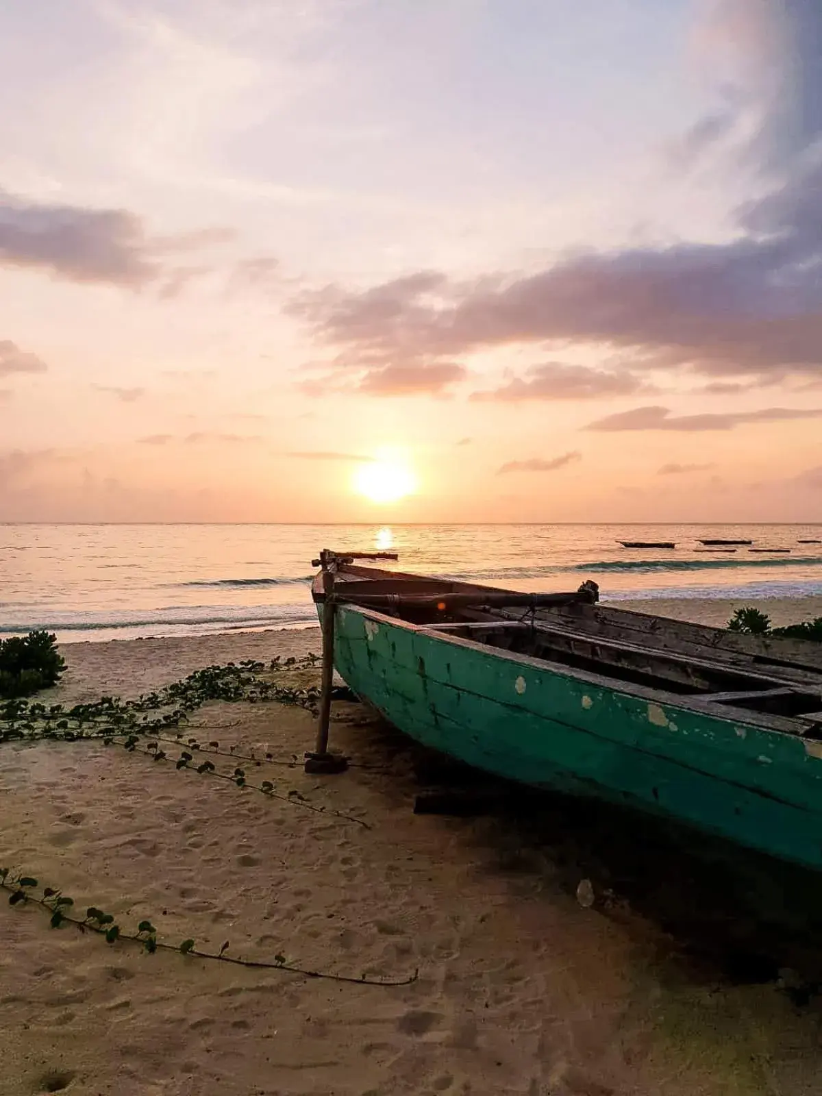 Sunset in Sofia Sea View Sunset in Sofia Sea View