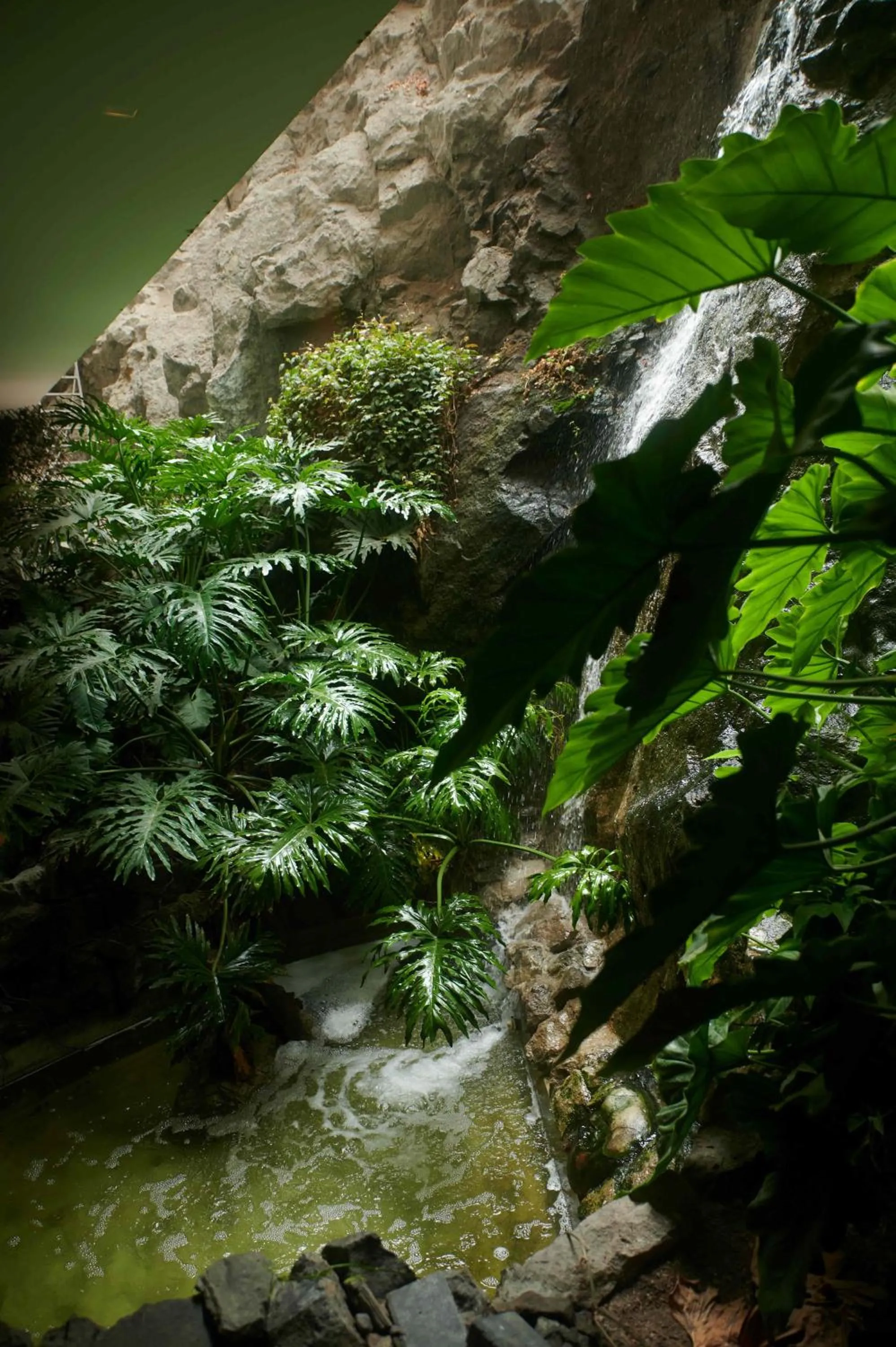 Property building in Casa Andina Premium Golf Los Incas