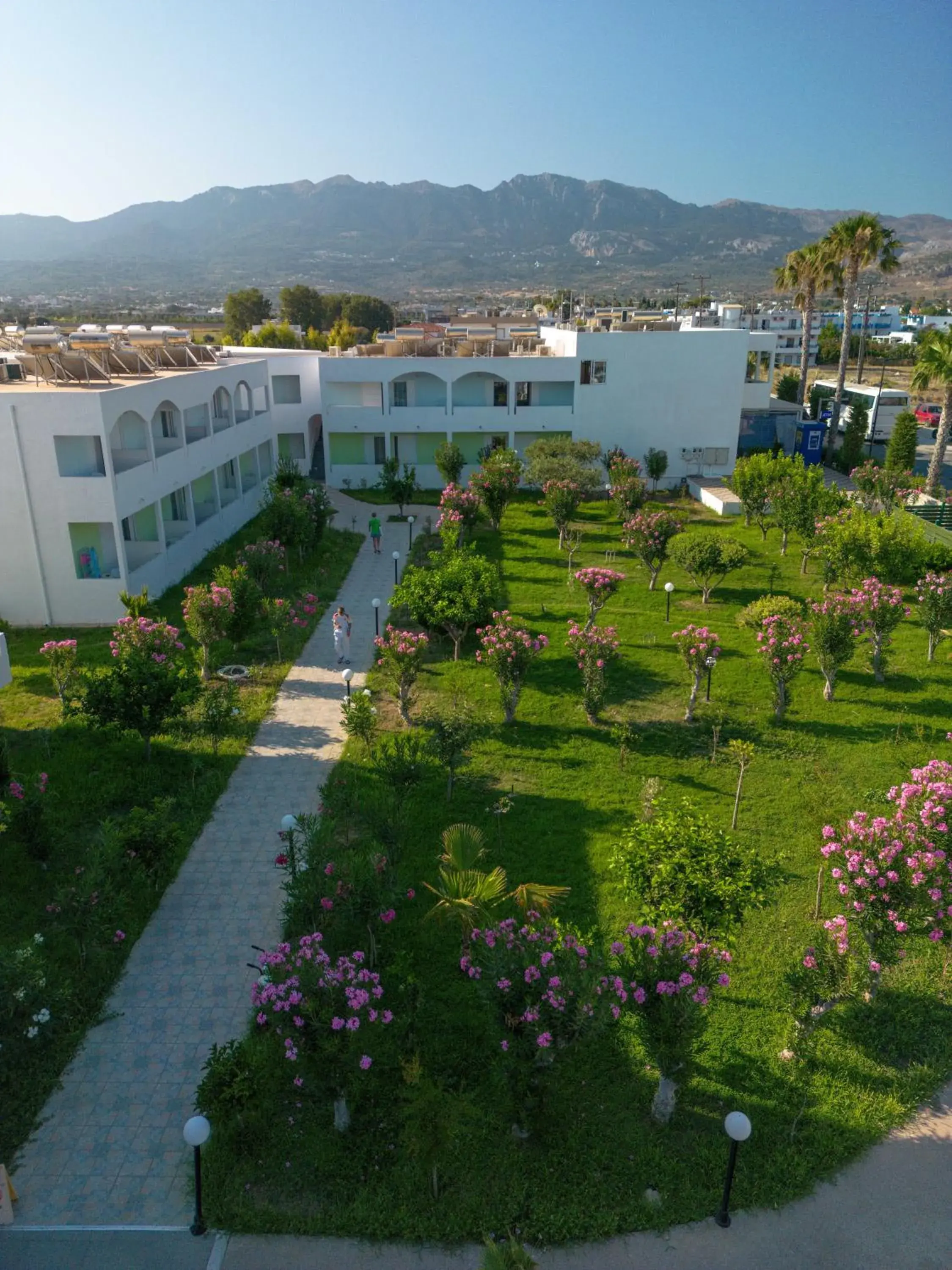 Tropical Sol Tropical Sol