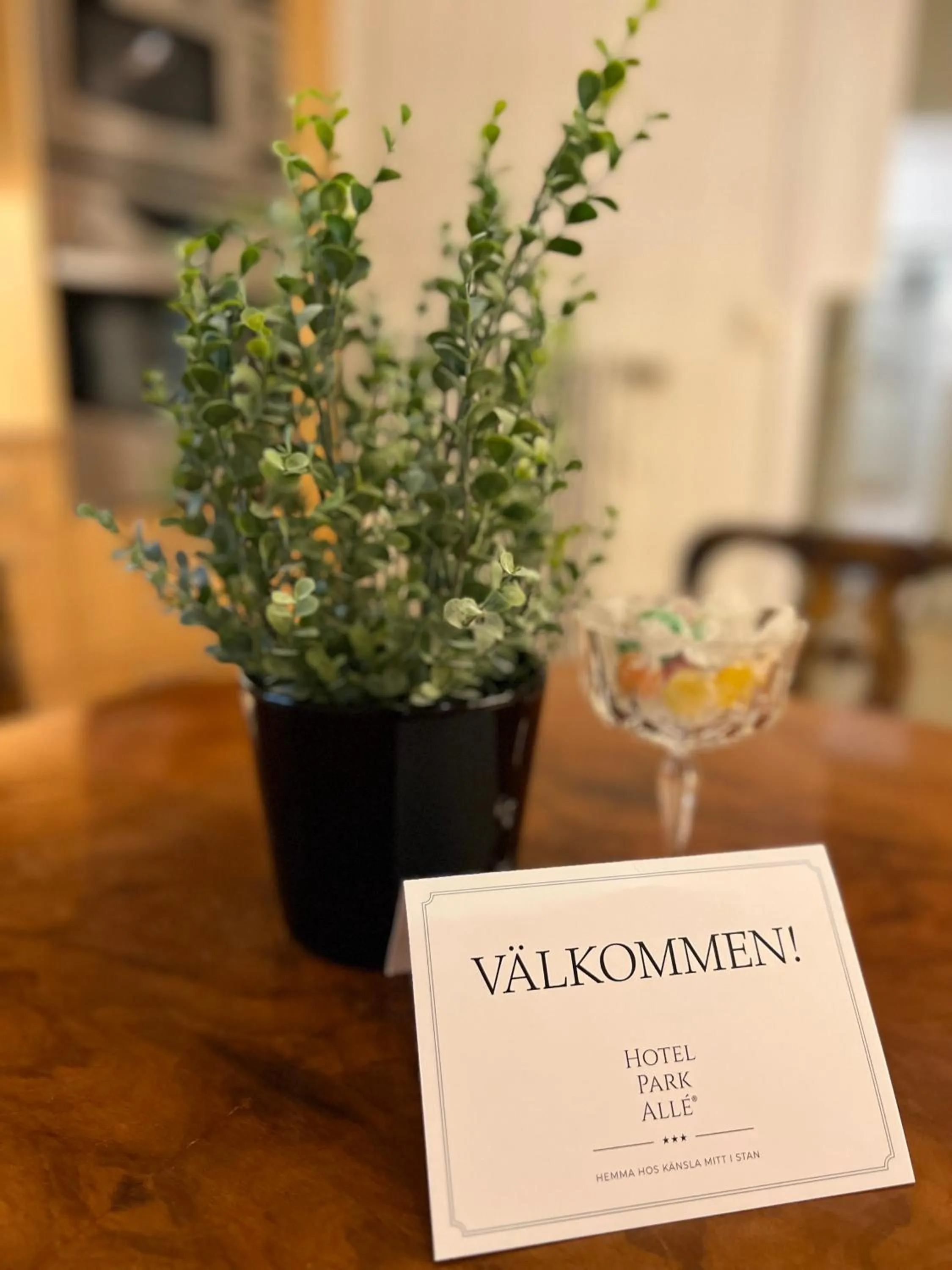 Other in Hotel Park Allé