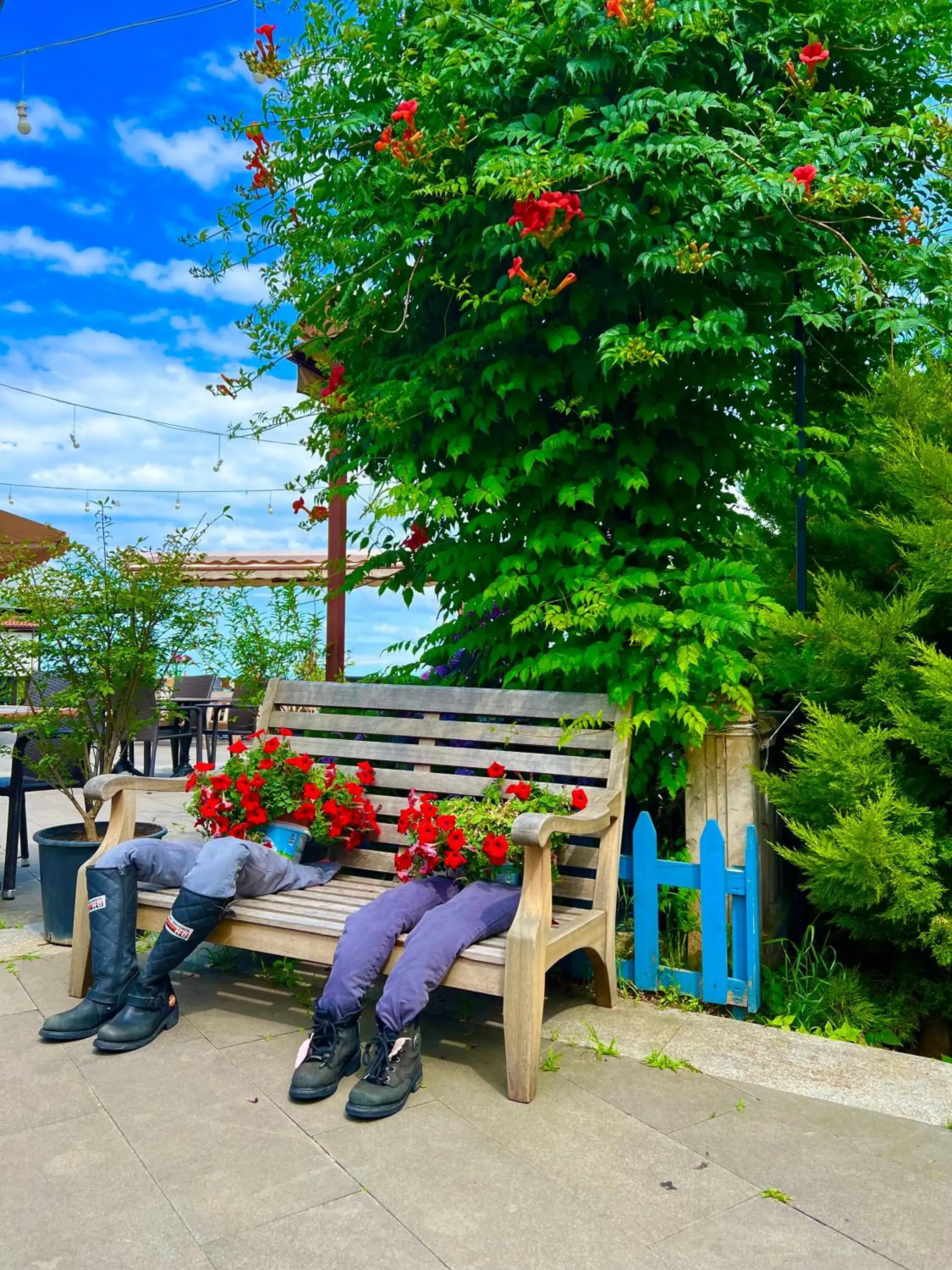 Restaurant/places to eat in Mehmet Efendi Mansion & Hotel Restaurant/places to eat in Mehmet Efendi Mansion & Hotel