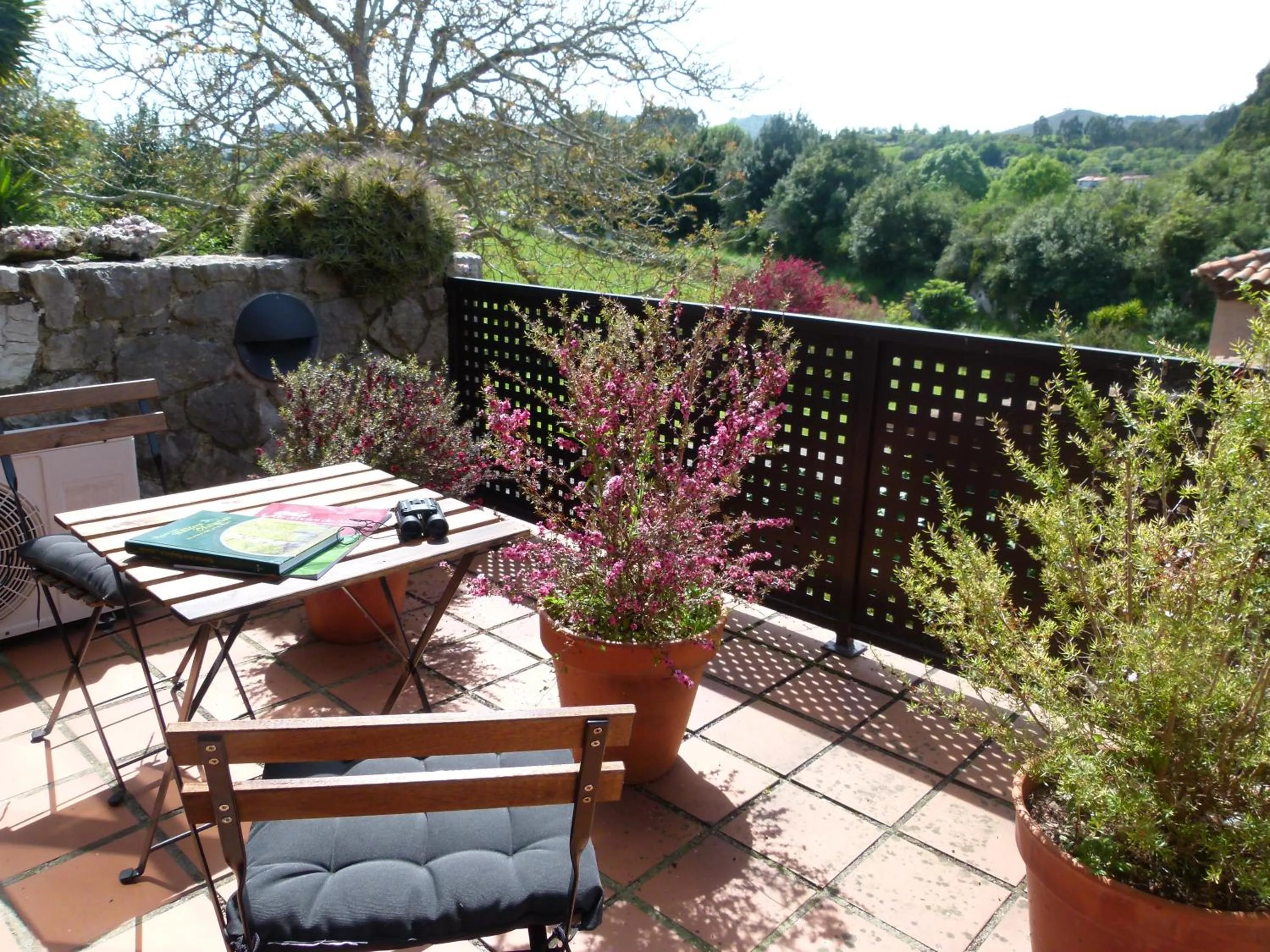 Balcony/Terrace in Hotel Finca Los Venancios