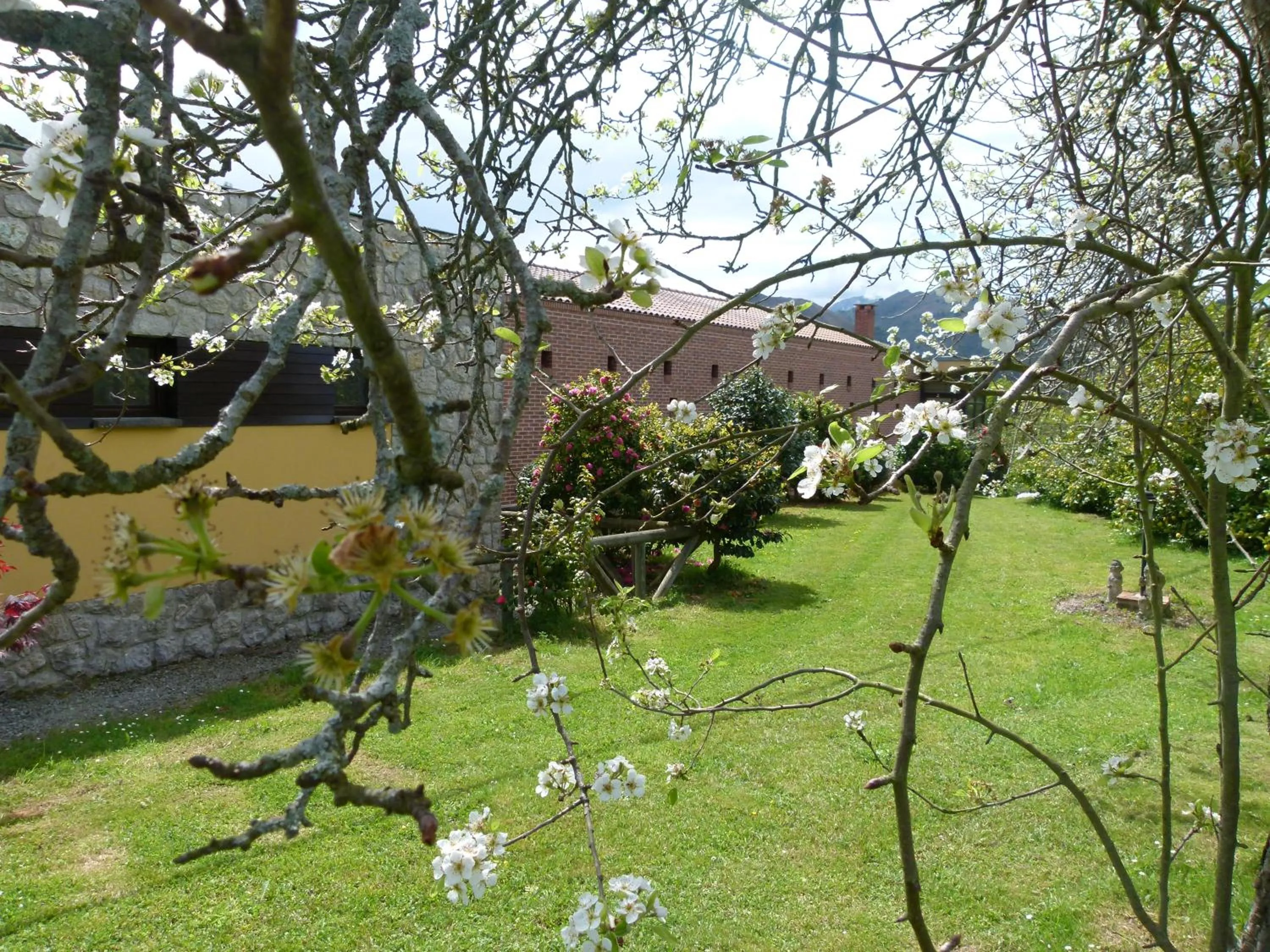 Garden in Hotel Finca Los Venancios