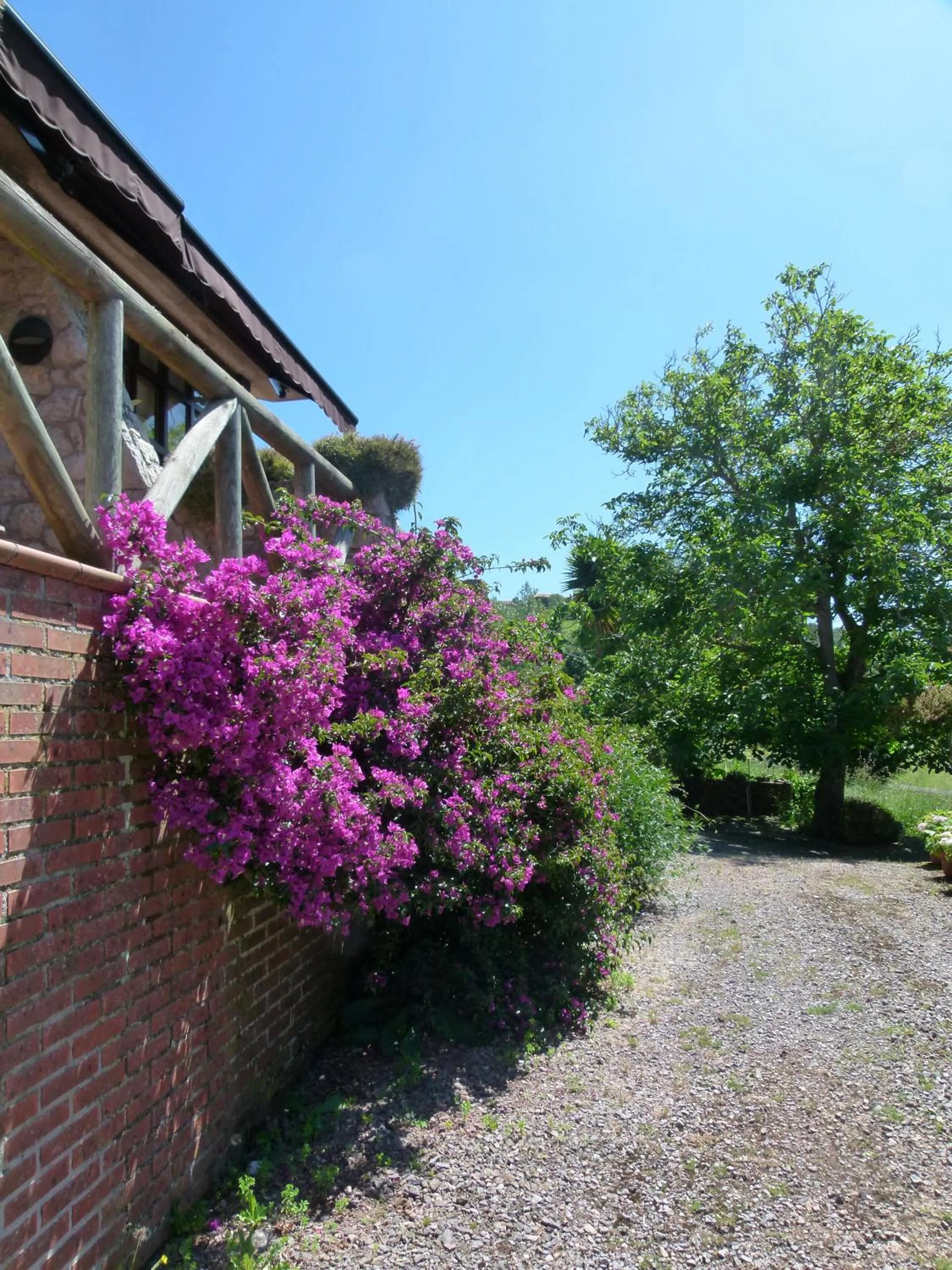 Property building in Hotel Finca Los Venancios