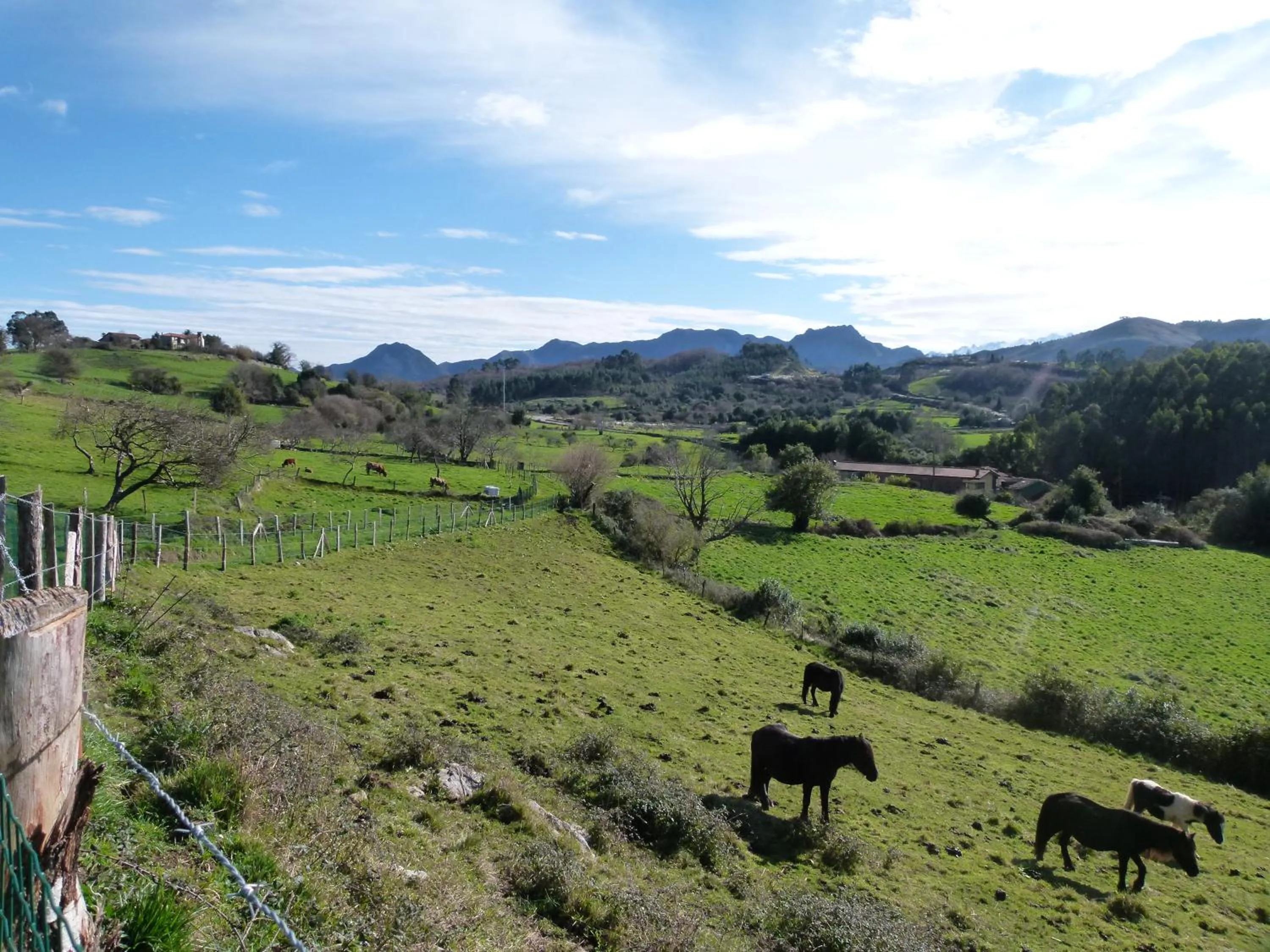 Natural landscape in Hotel Finca Los Venancios