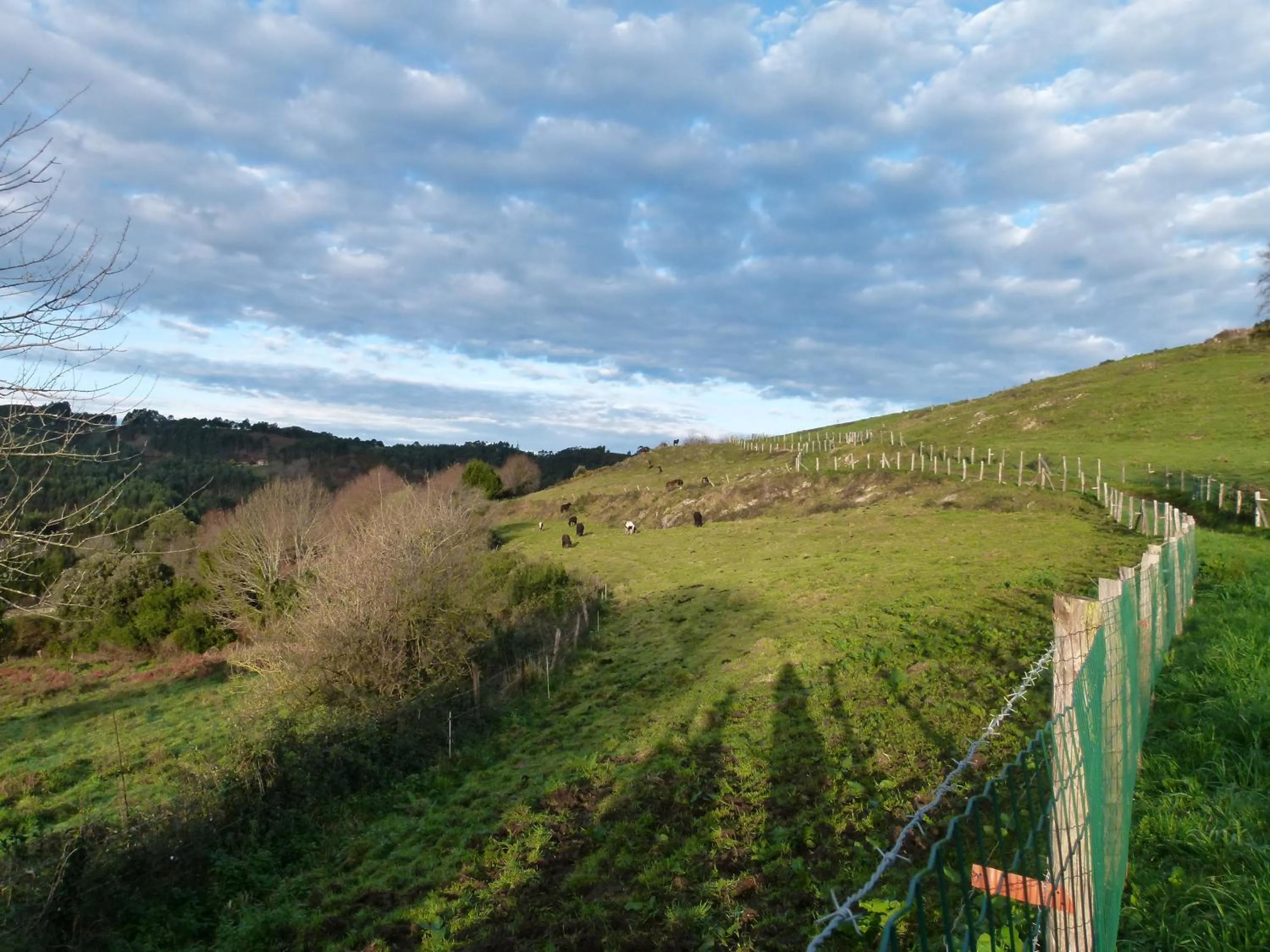 Natural landscape in Hotel Finca Los Venancios