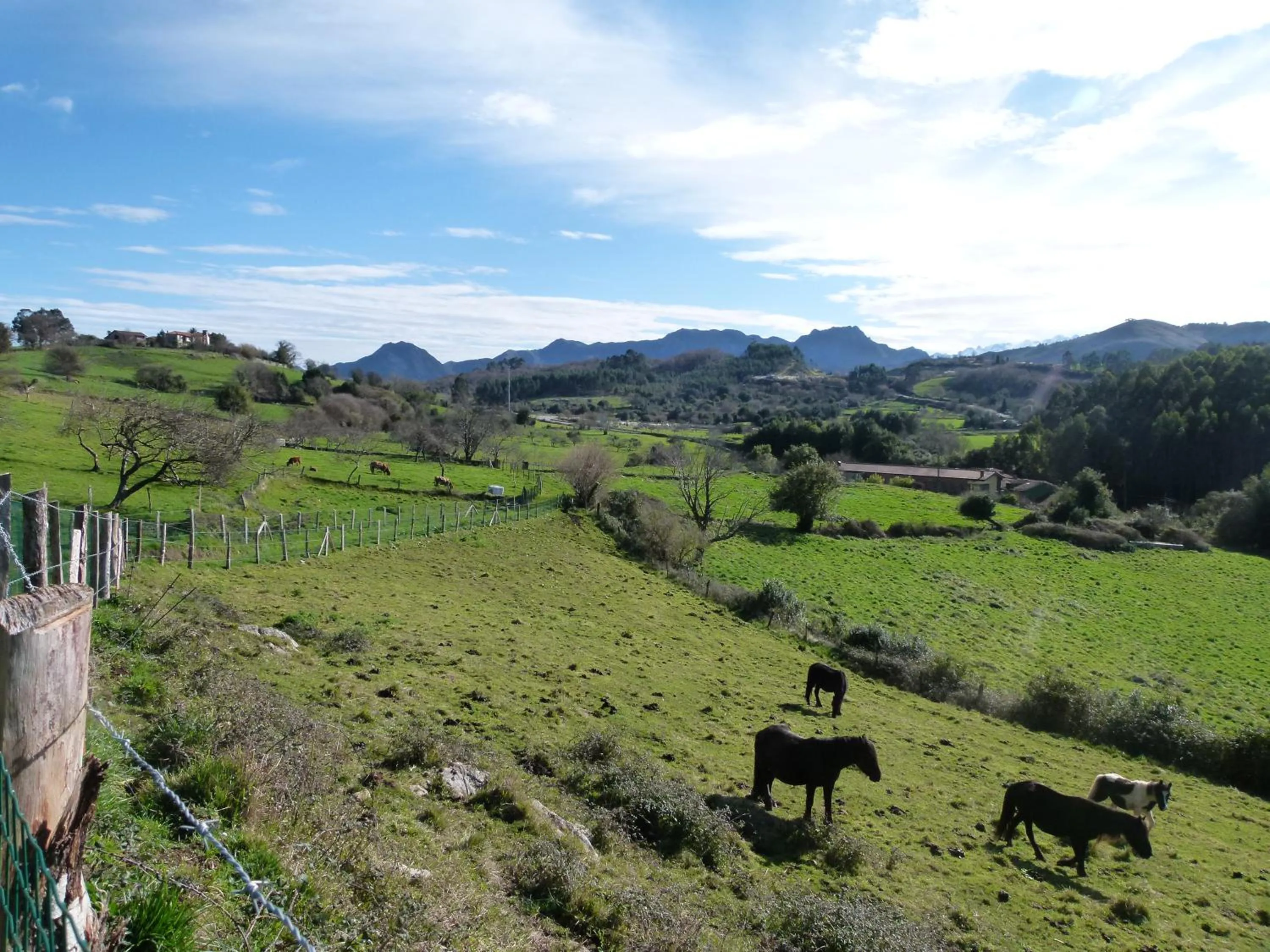 Natural landscape in Hotel Finca Los Venancios