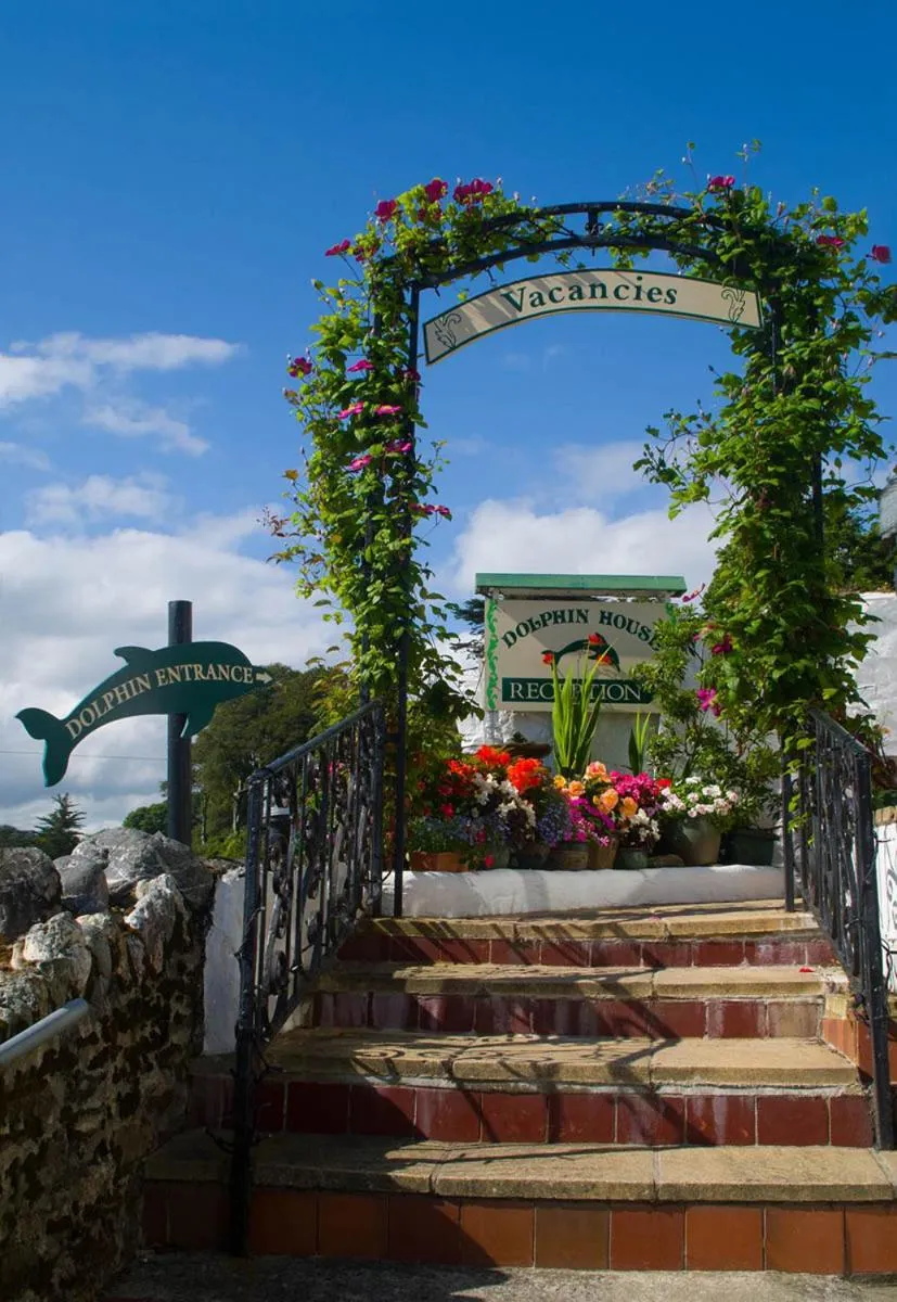 Balcony/Terrace in Dolphin Guest House