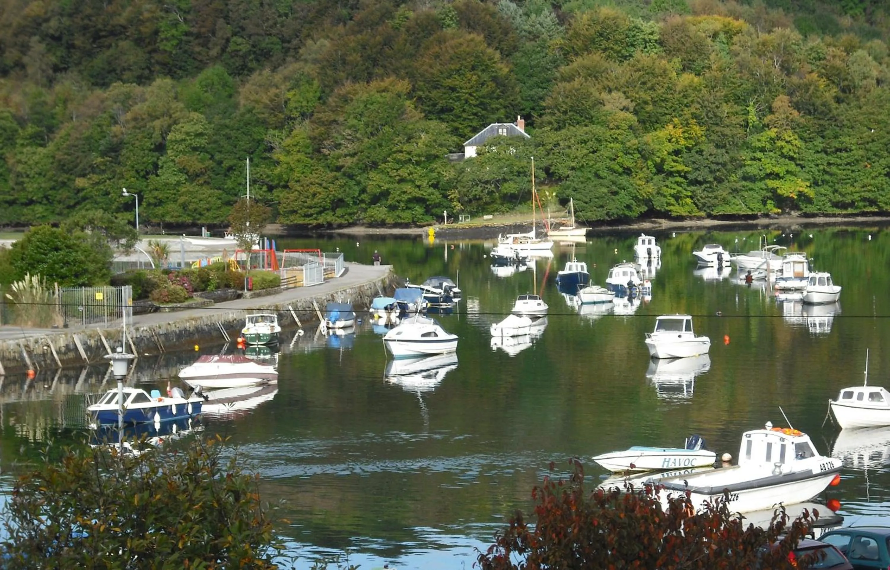 River view in Dolphin Guest House